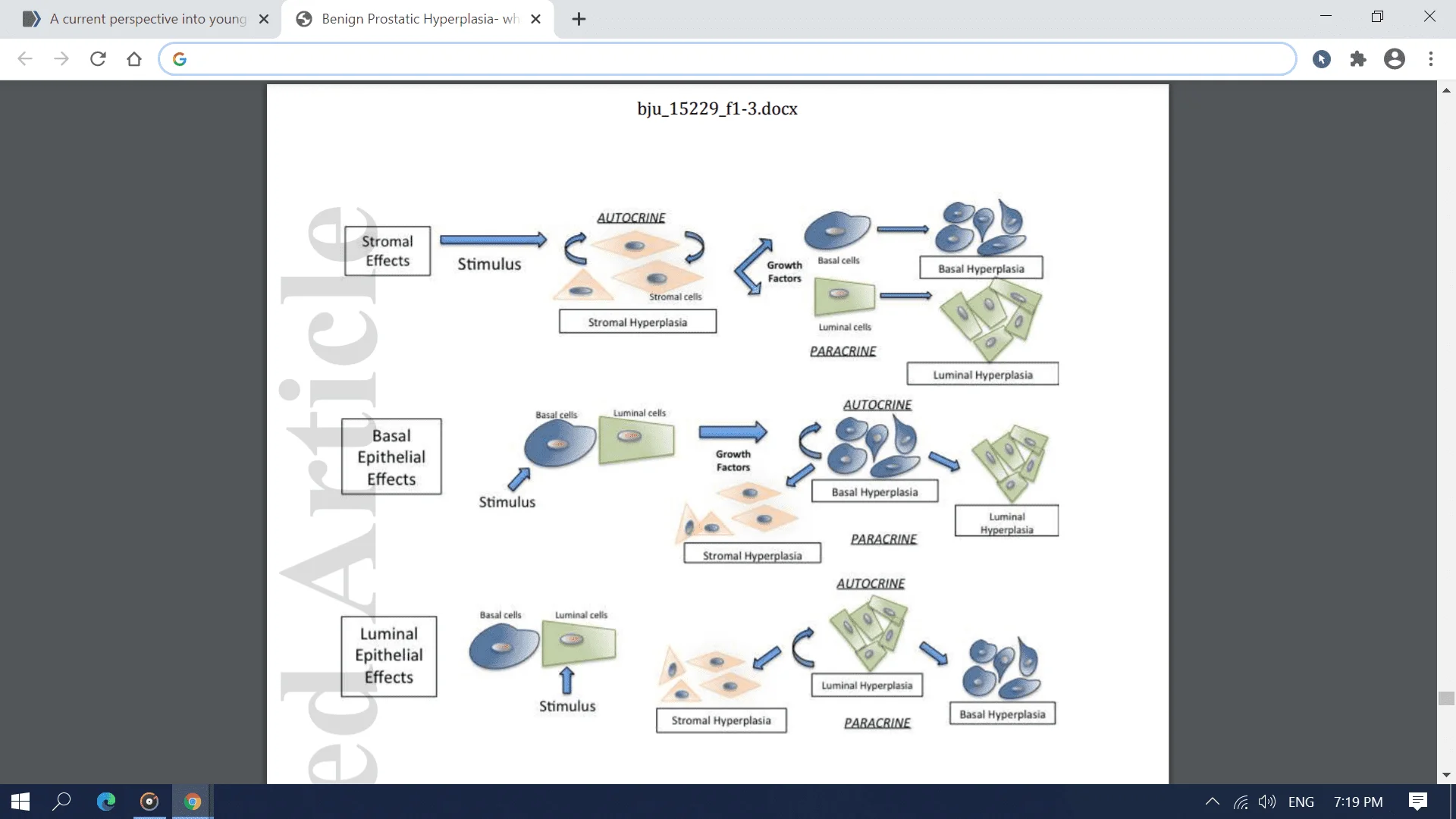 Screenshot (1927).webp