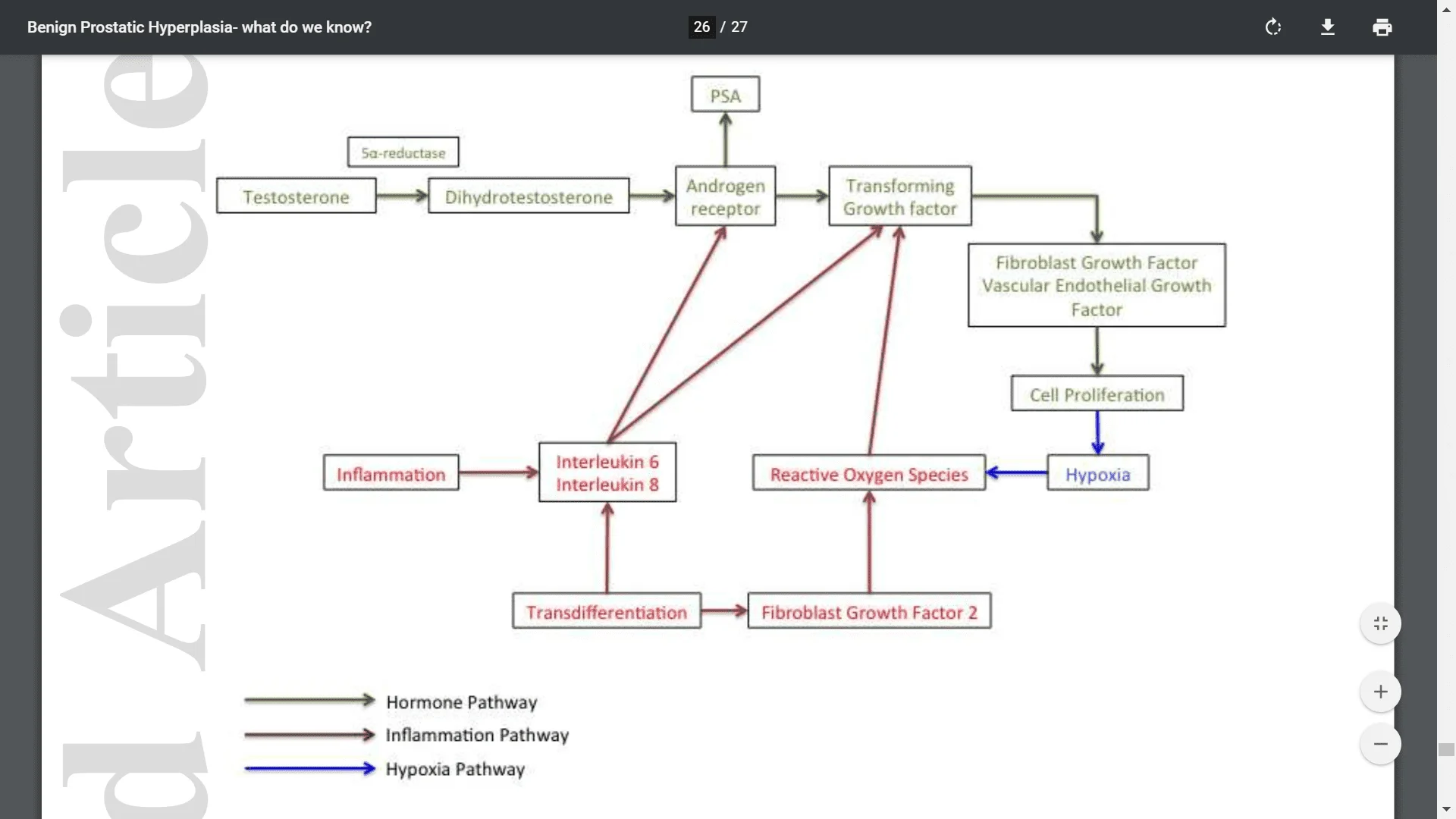 Screenshot (1928).webp