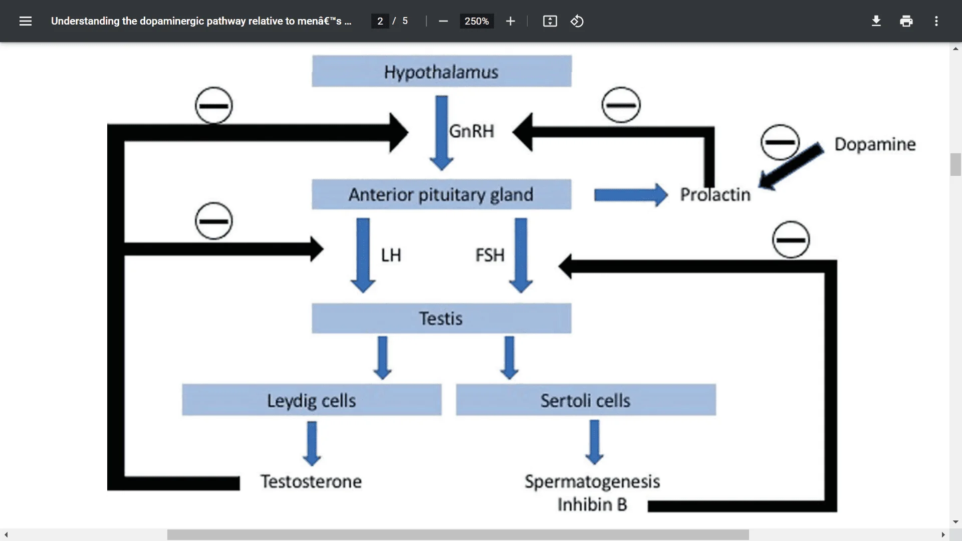 Screenshot (19698).webp
