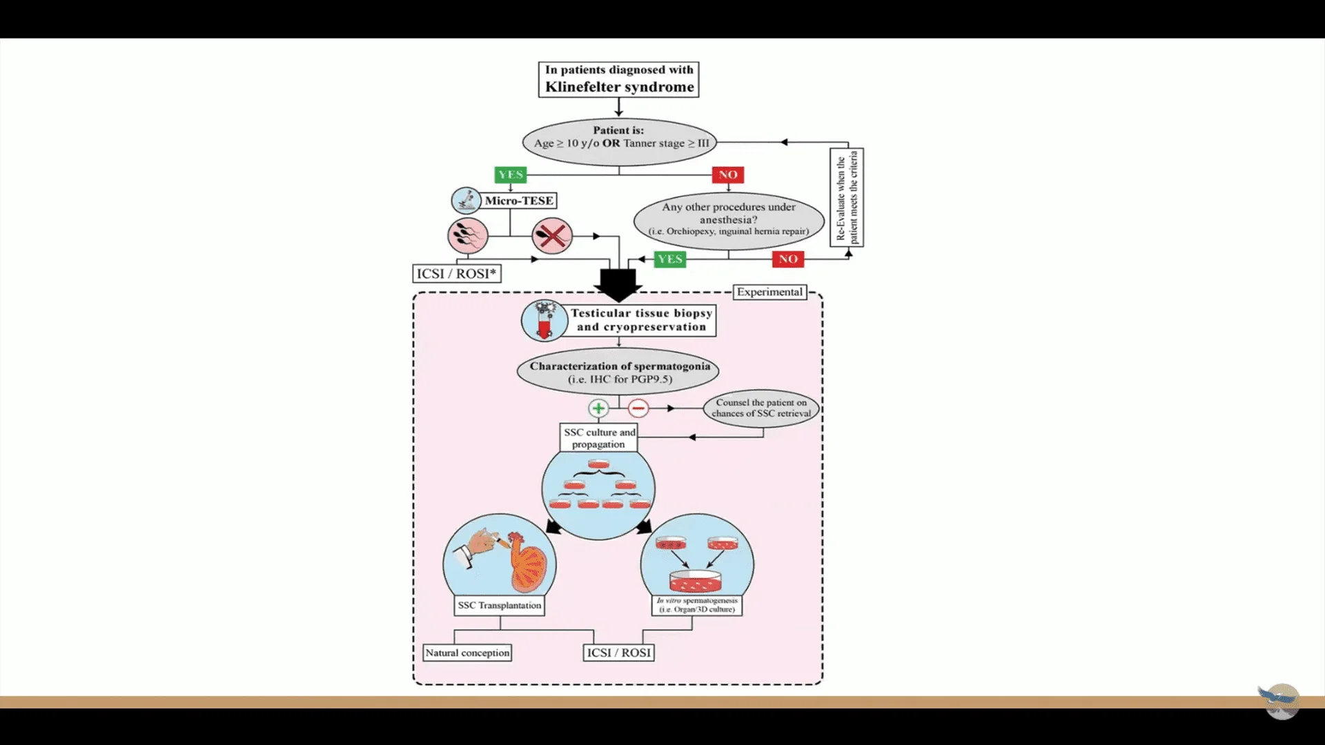 Screenshot (19791).webp