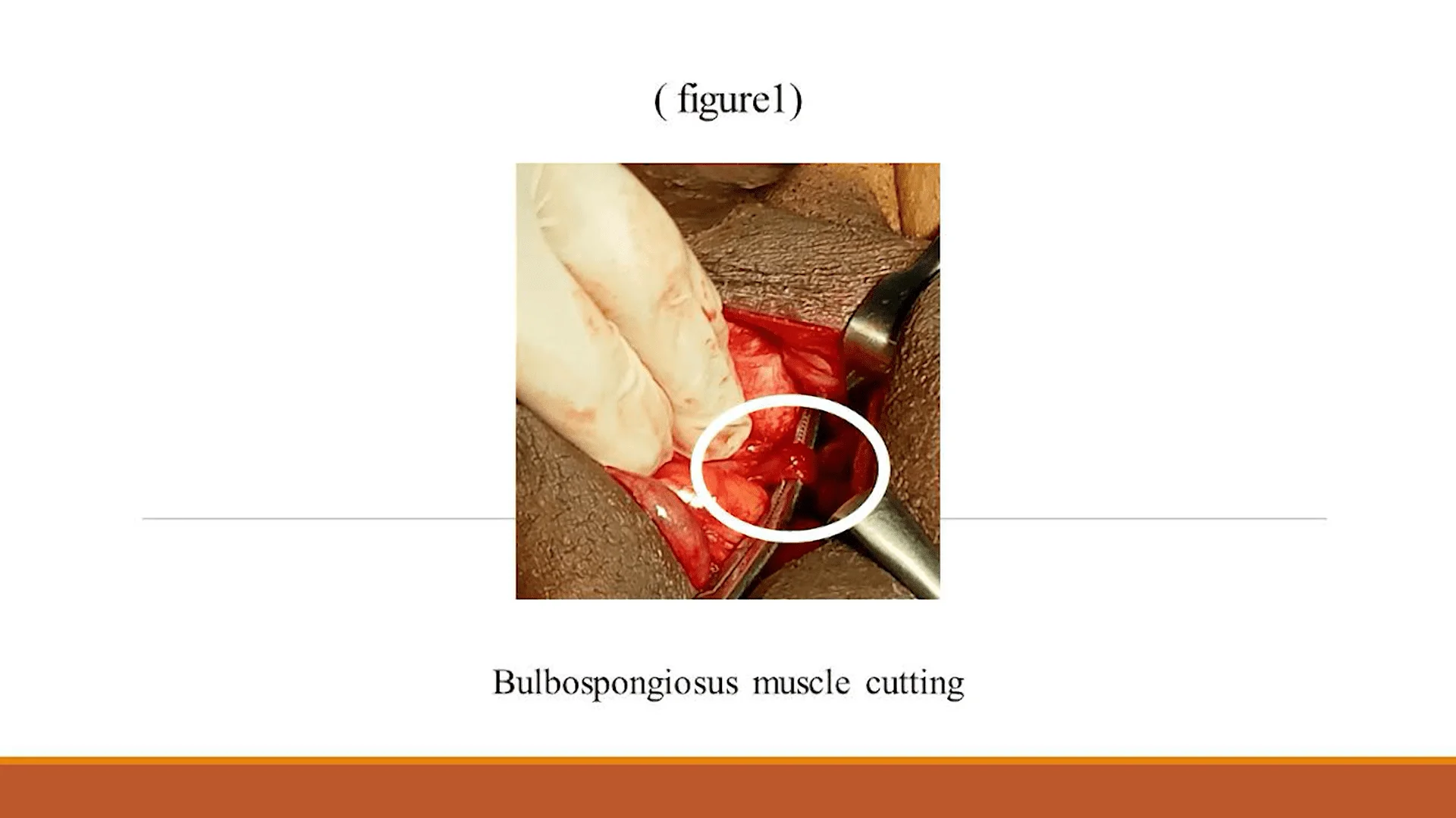 Screenshot (20142).webp