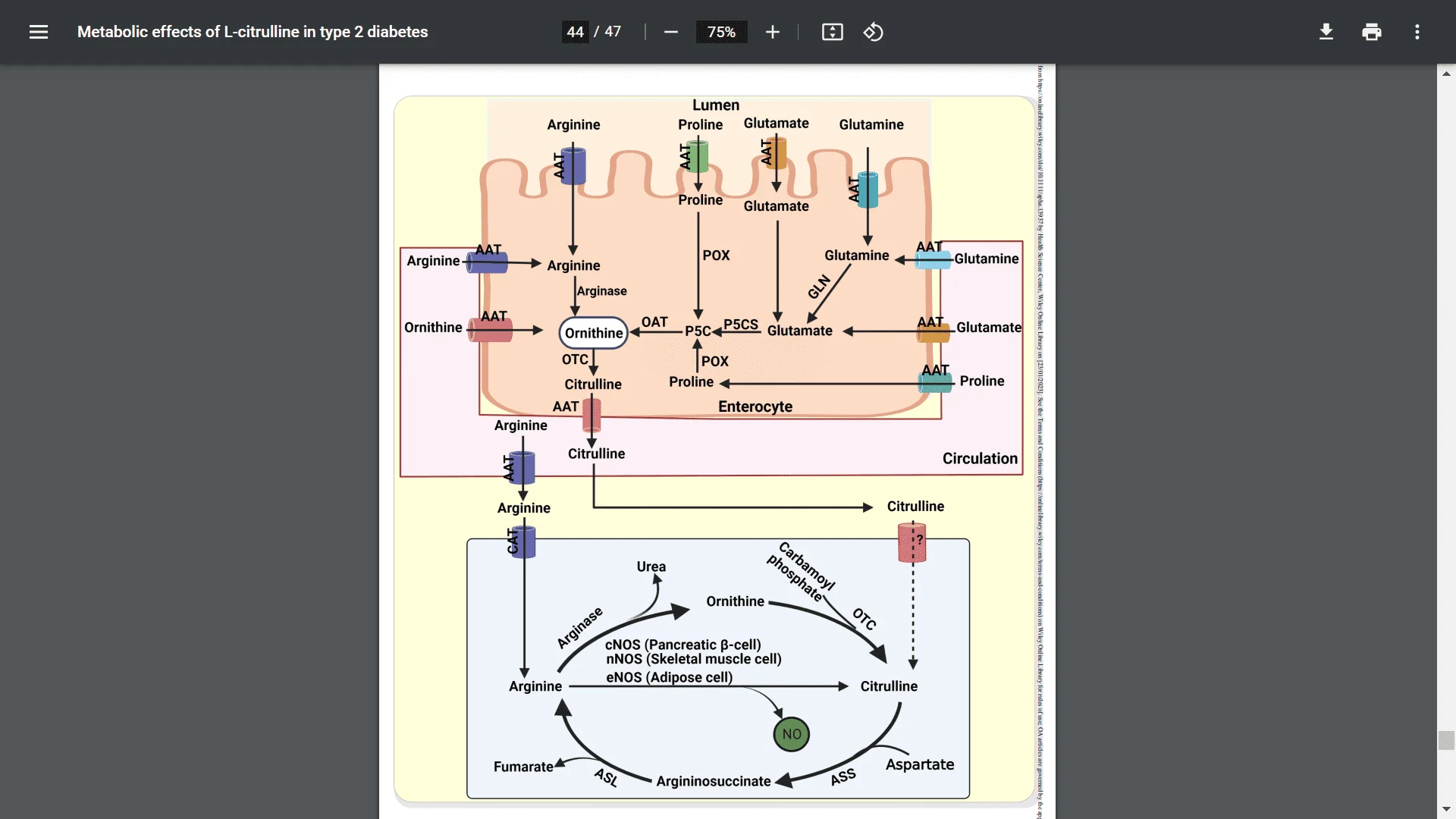 Screenshot (20311).webp
