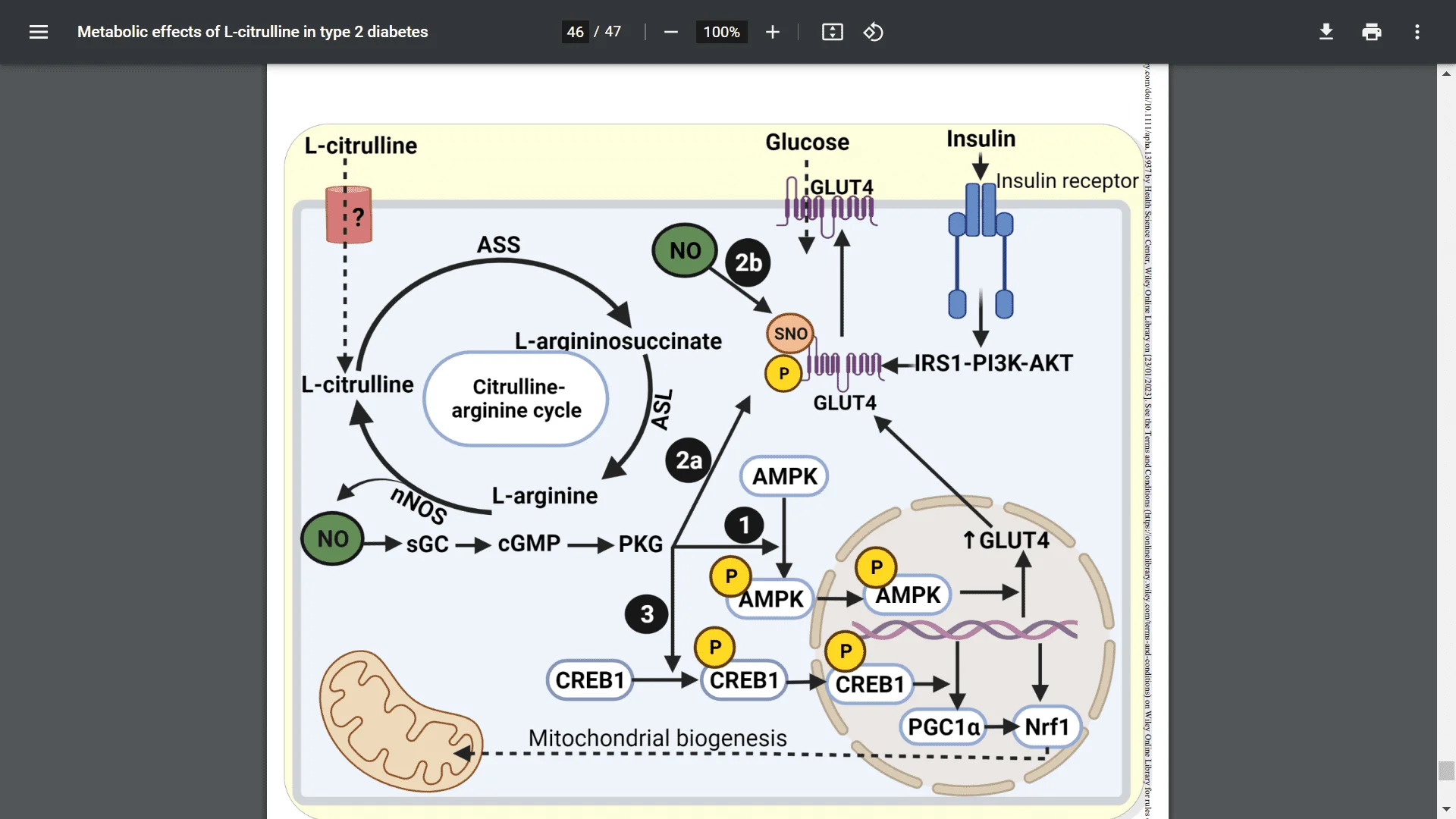 Screenshot (20313).webp
