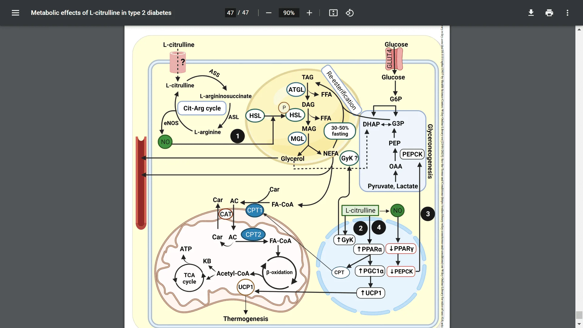 Screenshot (20314).webp