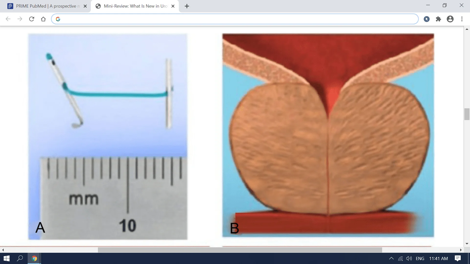 Screenshot (2062).webp