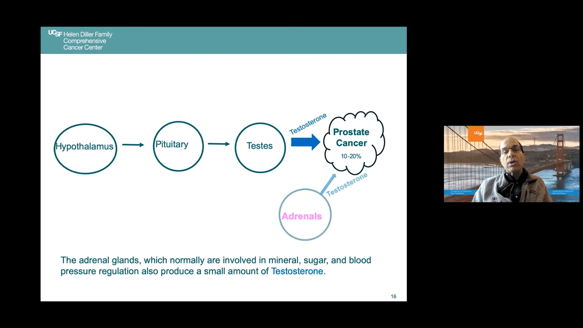 Screenshot (20917).webp