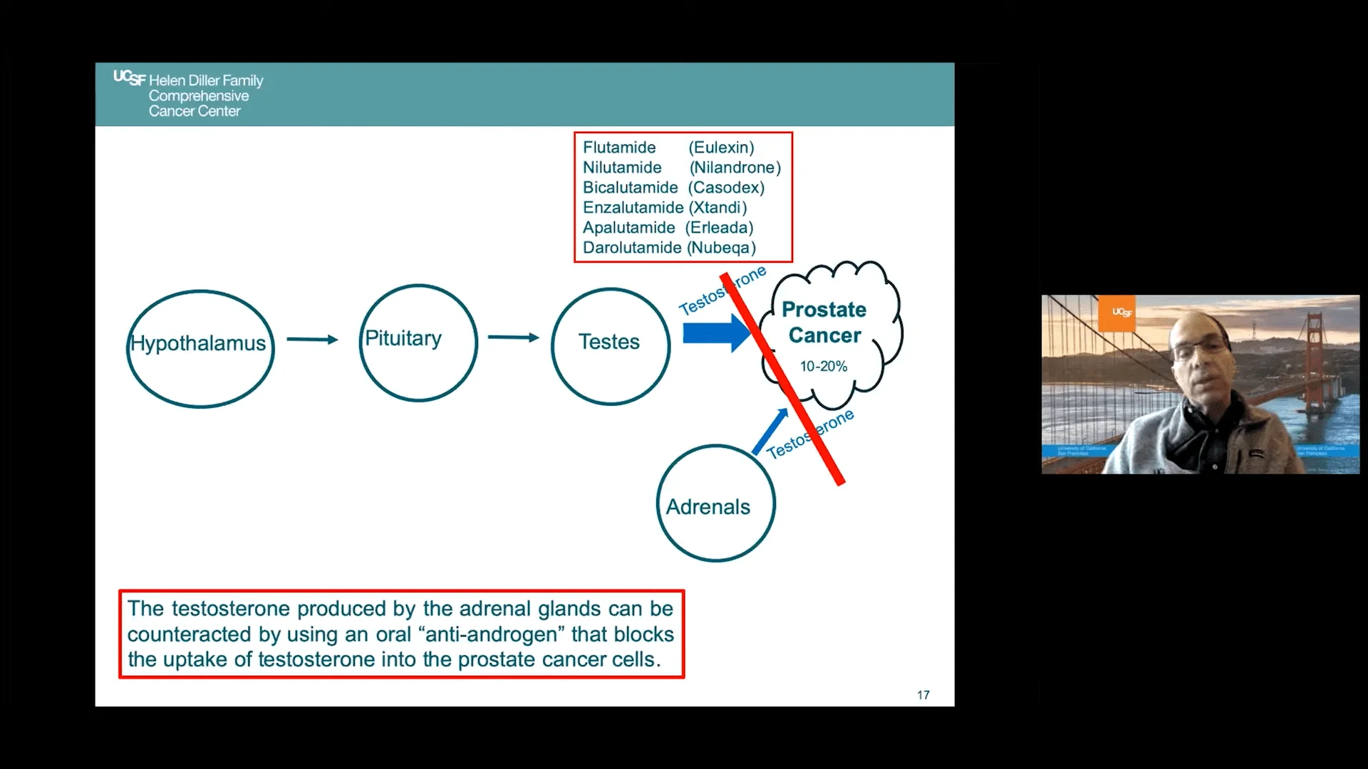 Screenshot (20918).webp