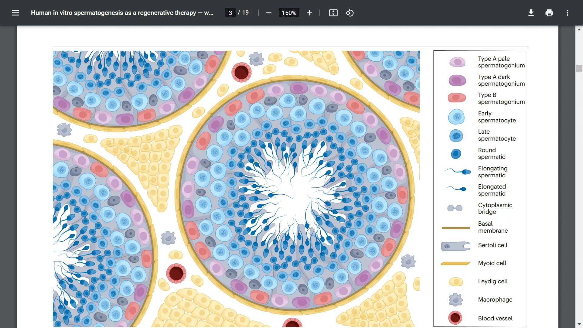 Screenshot (21326).webp