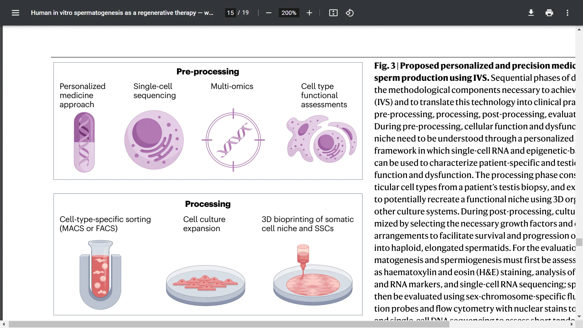 Screenshot (21337).webp