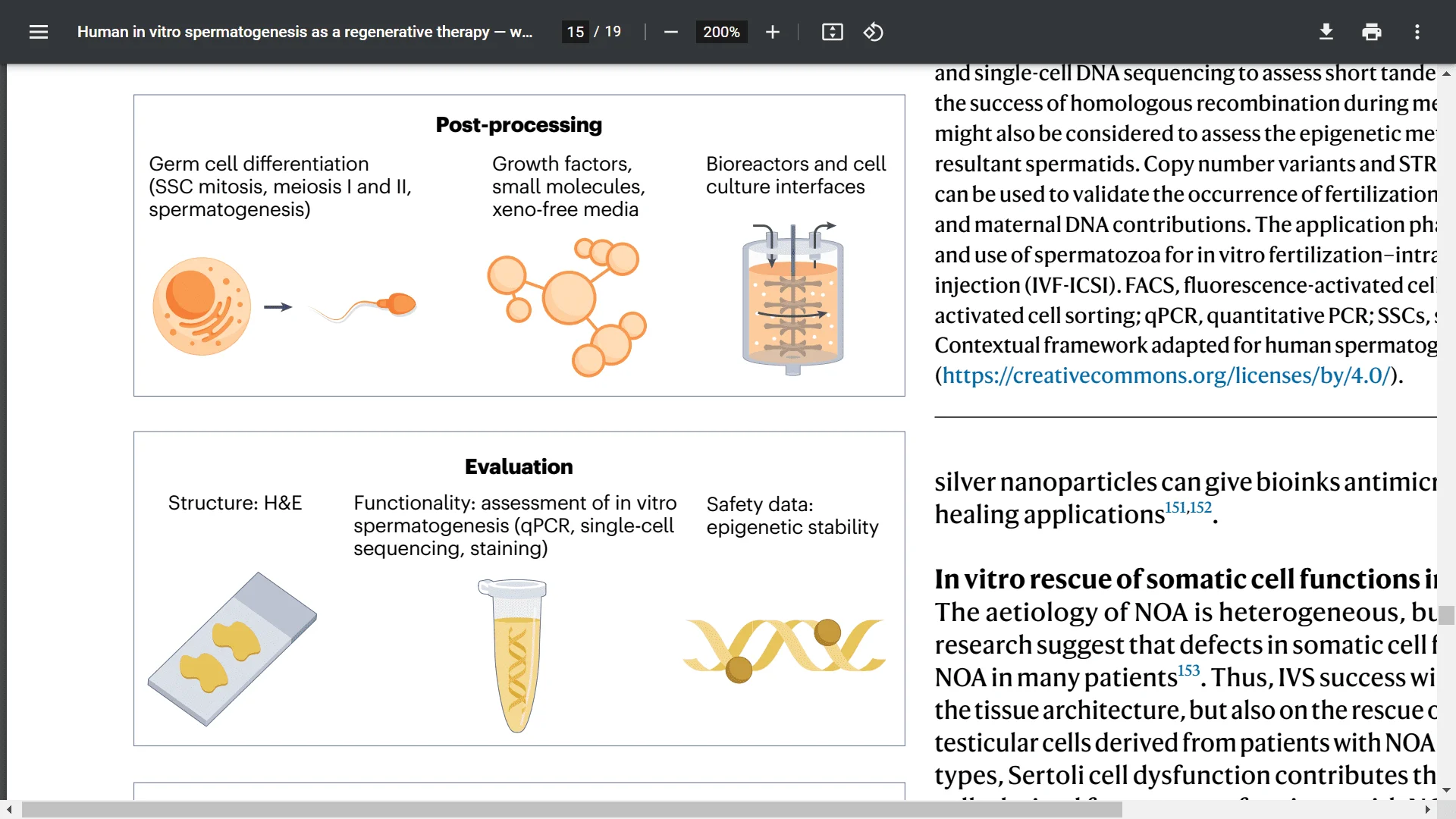 Screenshot (21338).webp