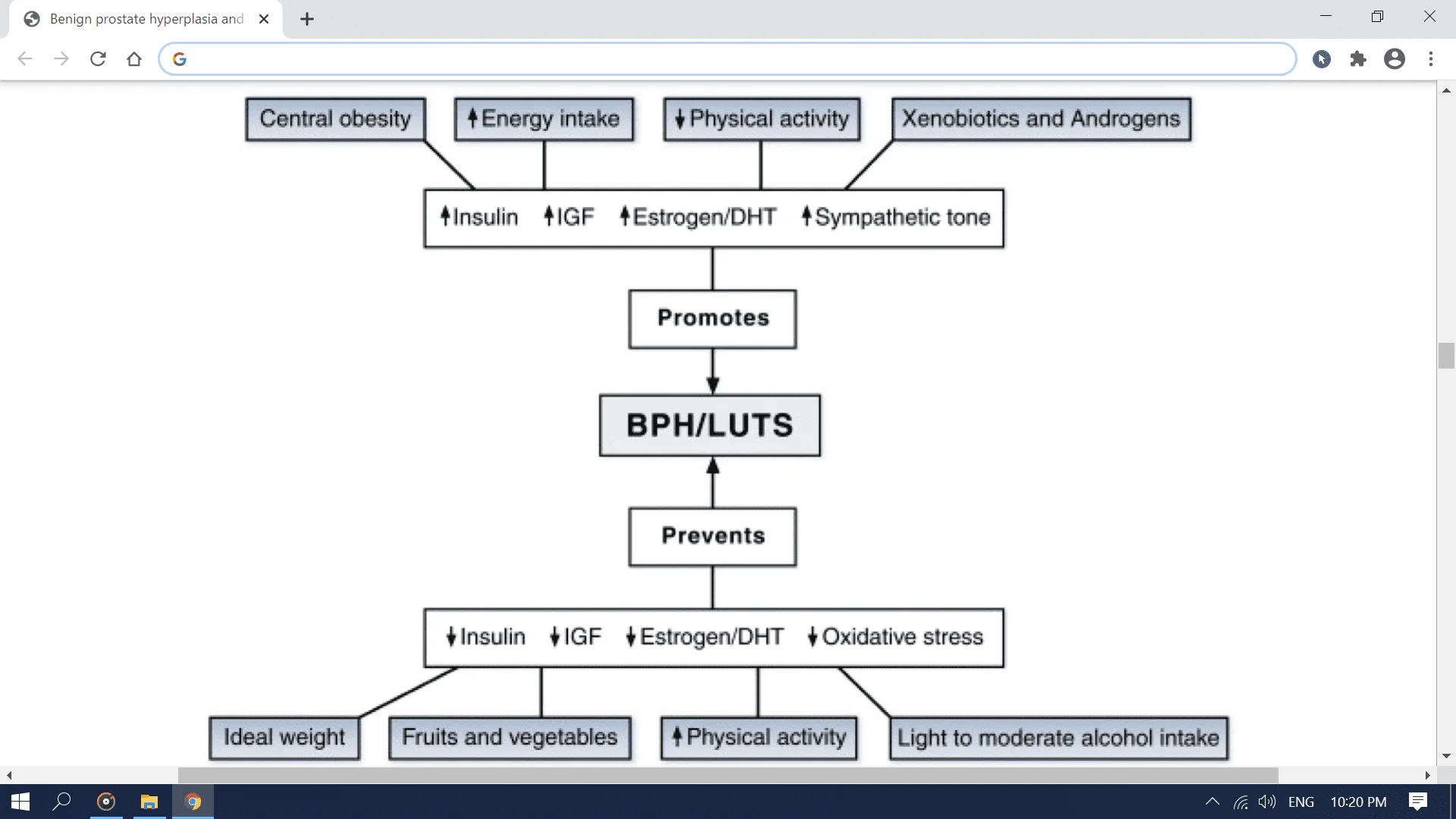Screenshot (2148).webp