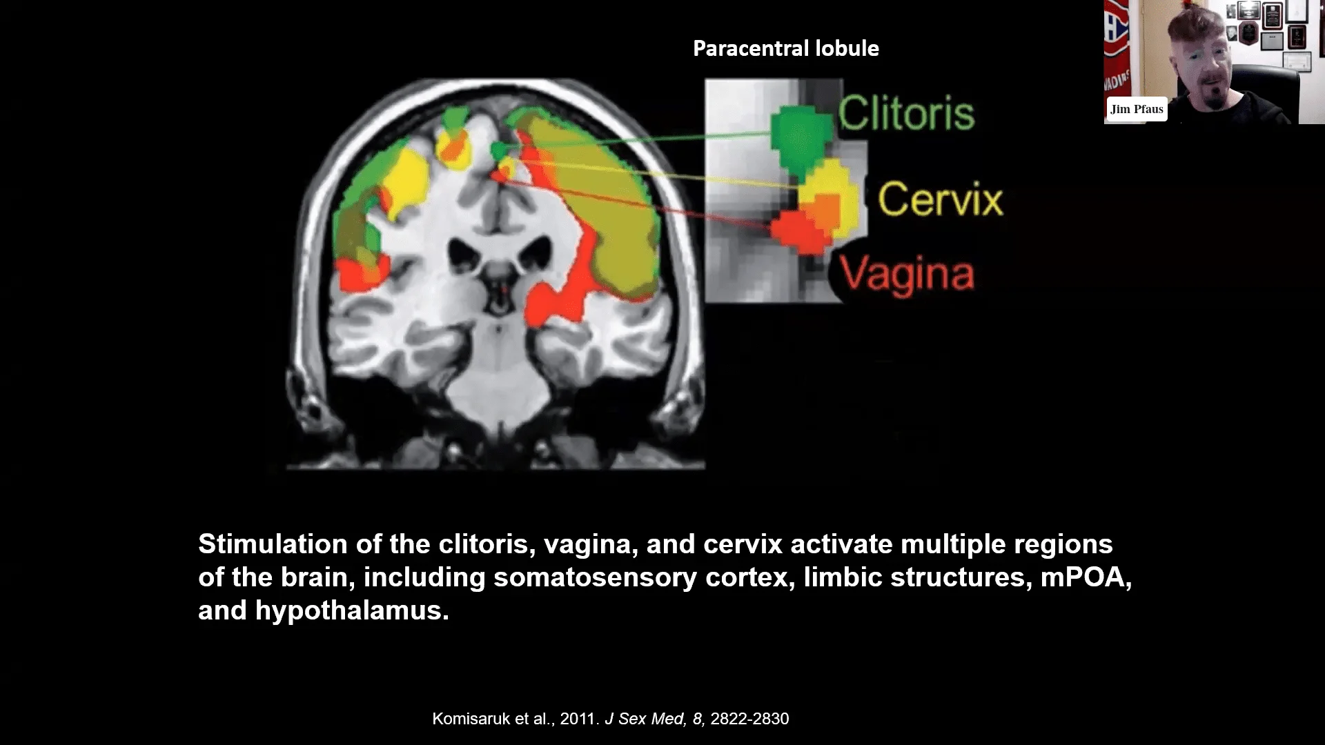 Screenshot (23525).webp