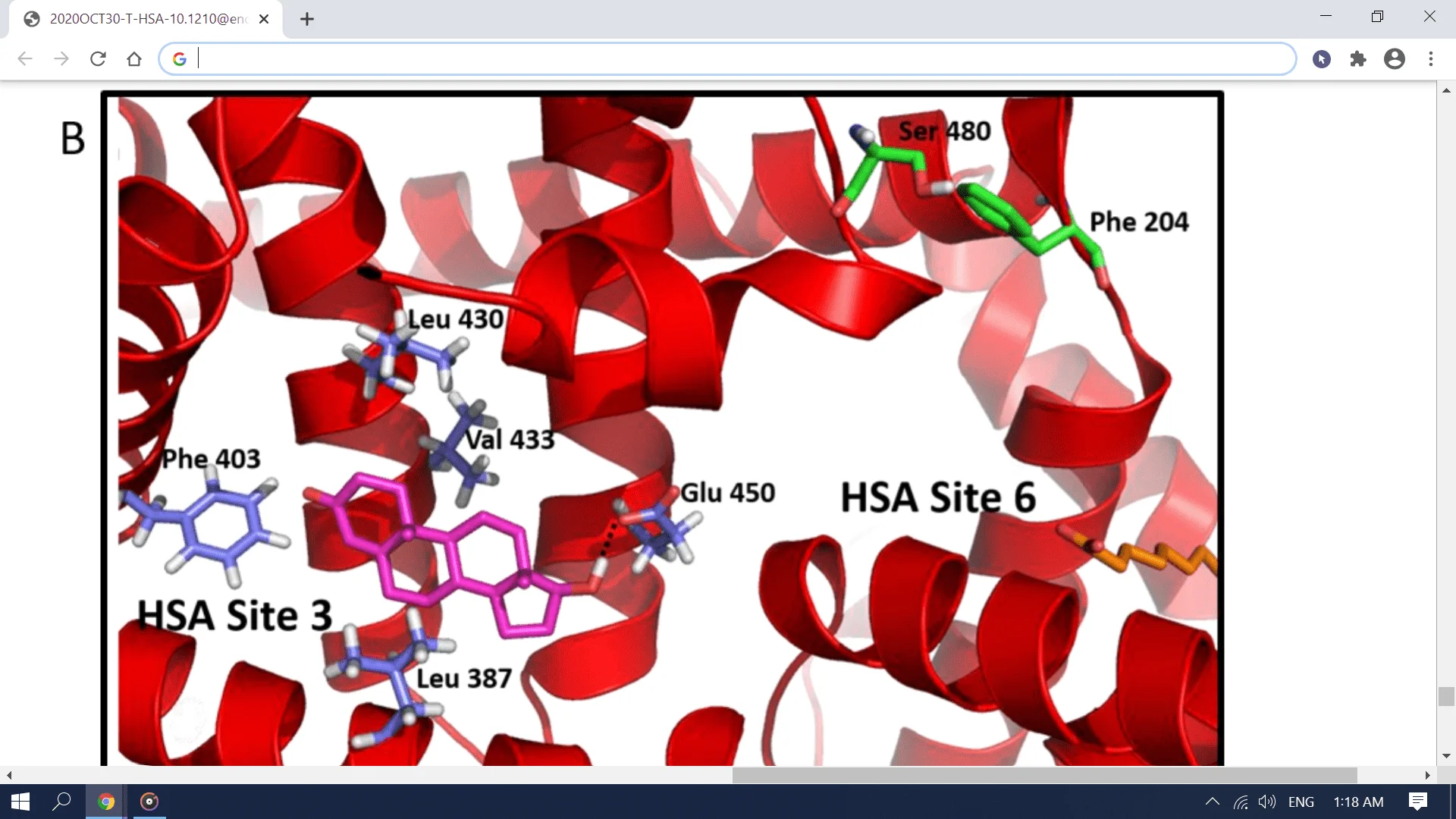 Screenshot (2369).webp