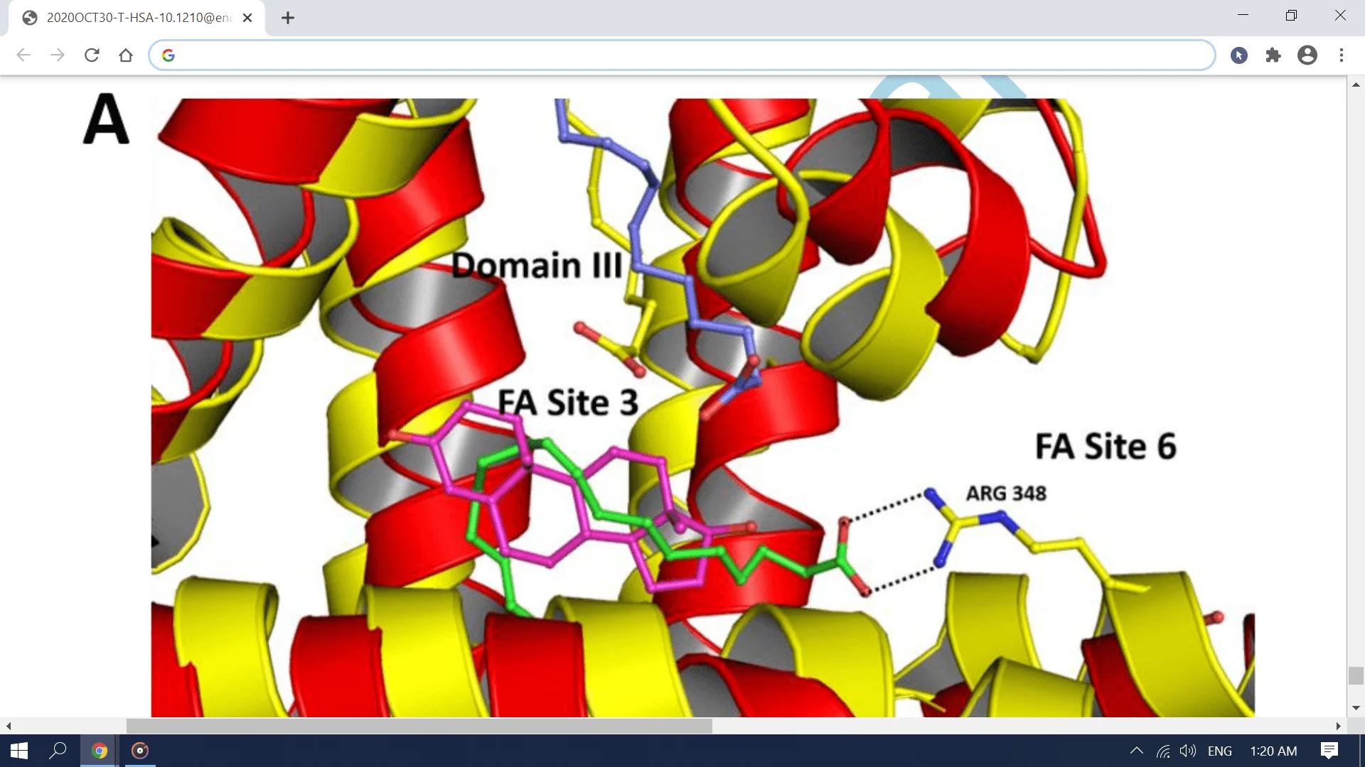 Screenshot (2373).webp