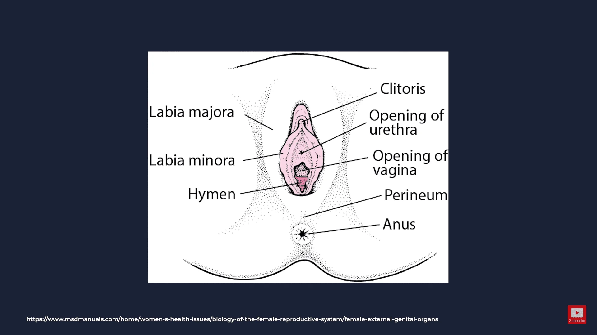 Screenshot (23796).webp