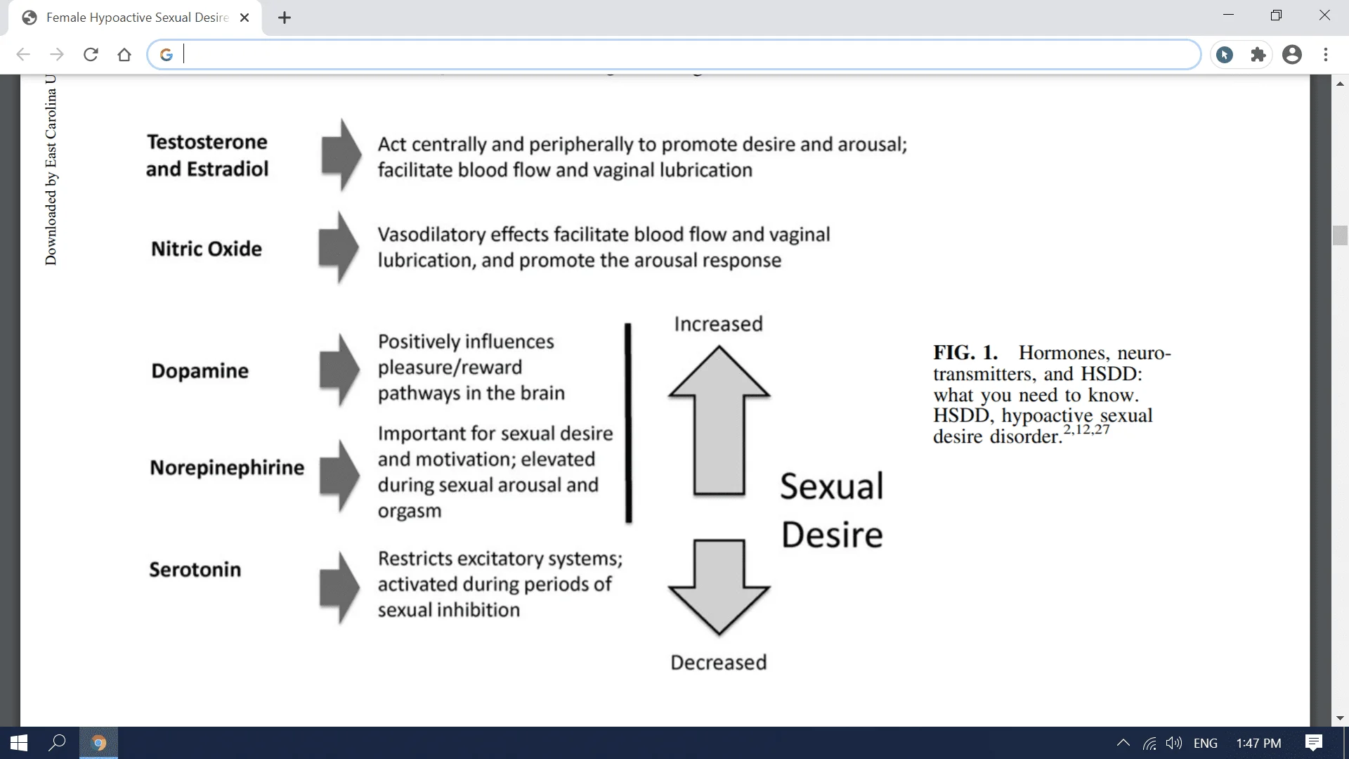 Screenshot (2412).webp