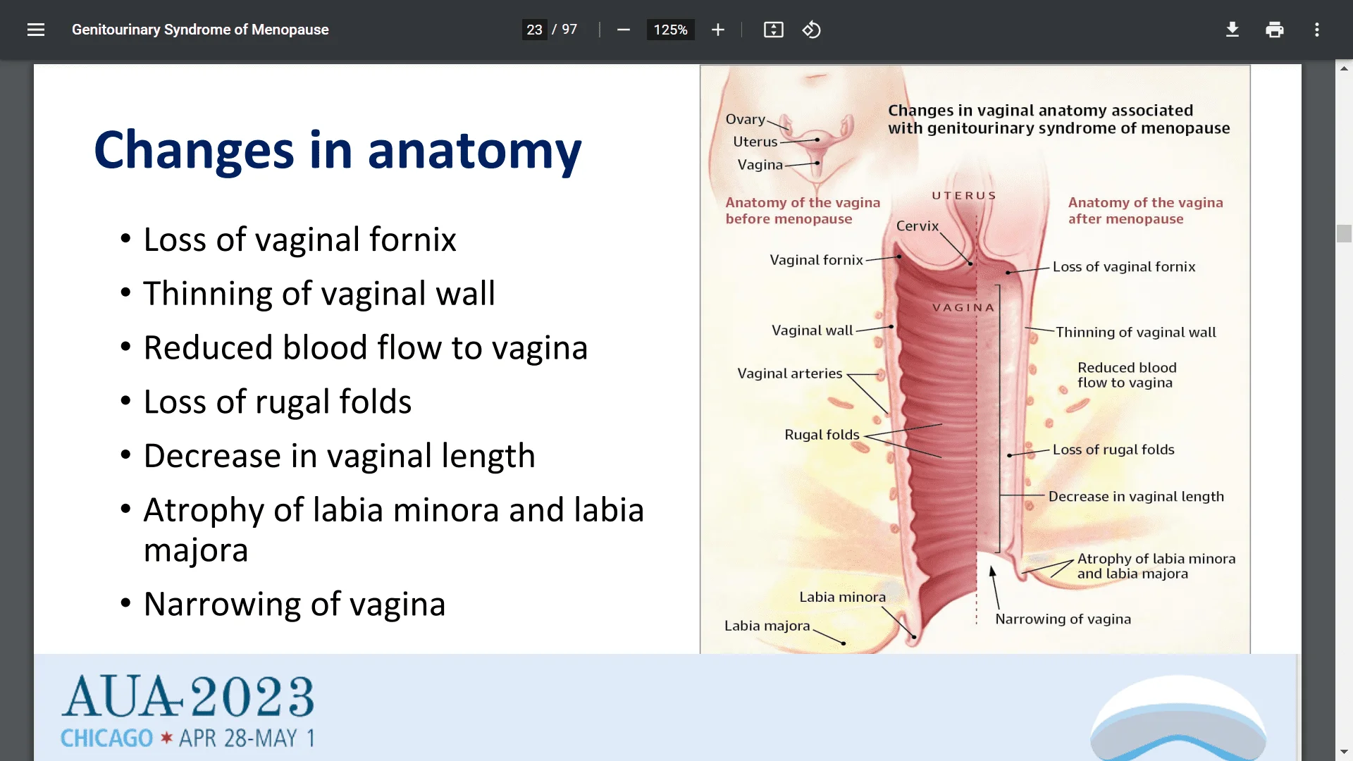 Screenshot (24221).webp