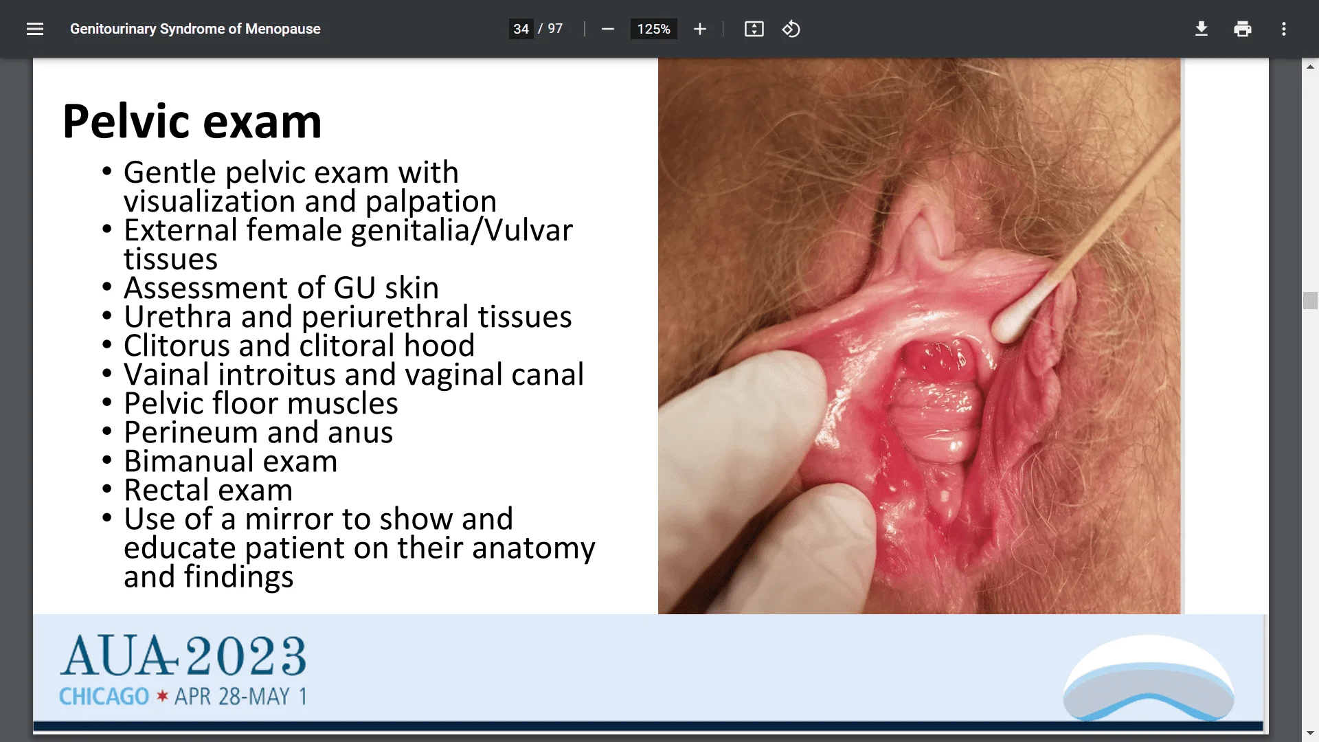 Screenshot (24232).webp