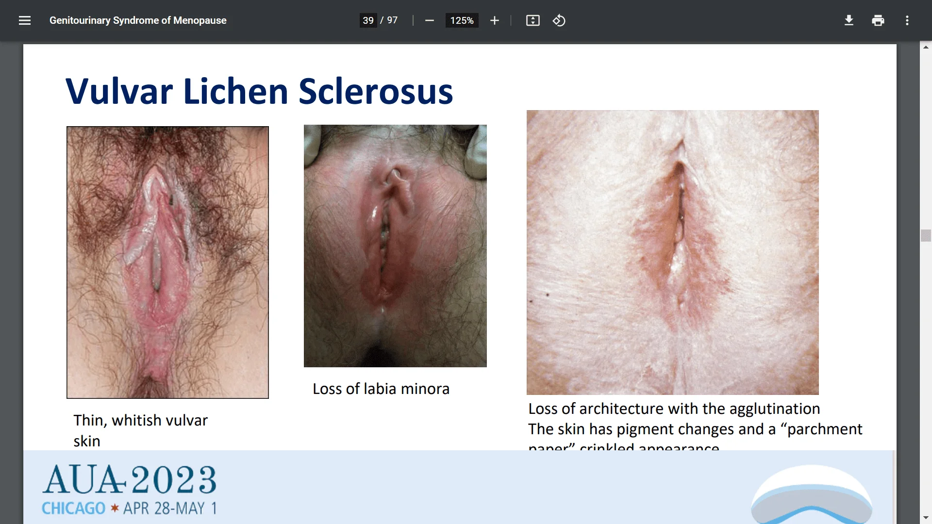 Screenshot (24237).webp