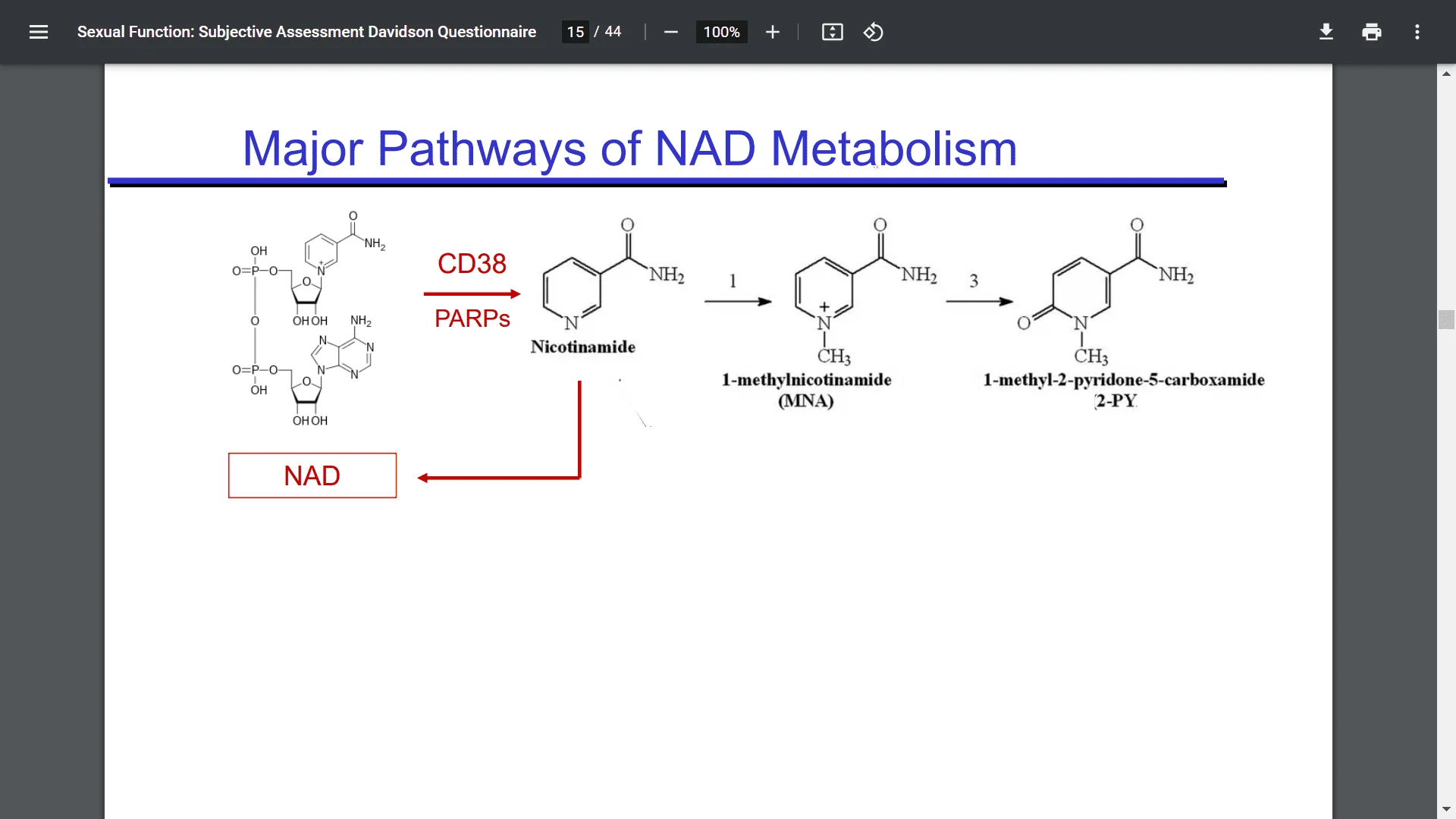 Screenshot (24501).webp