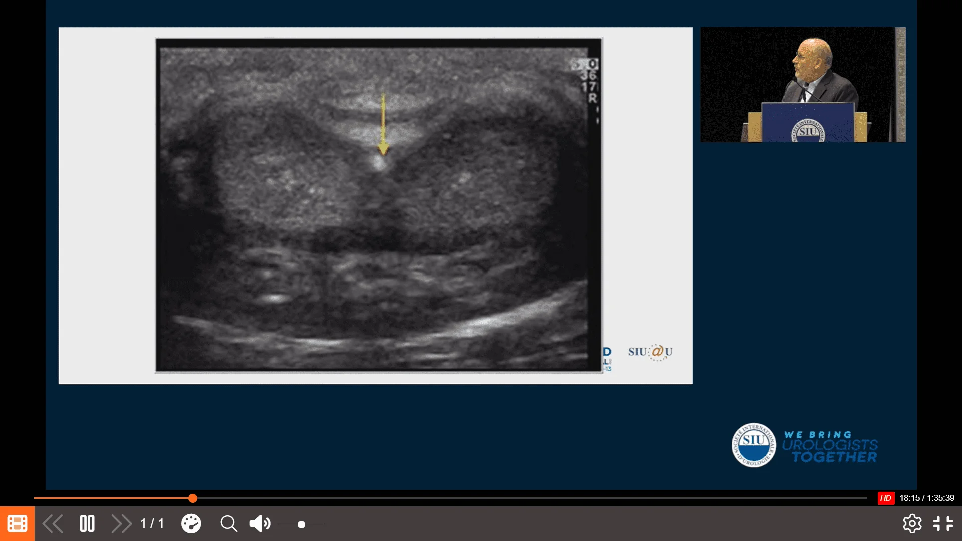 Screenshot (24800).webp