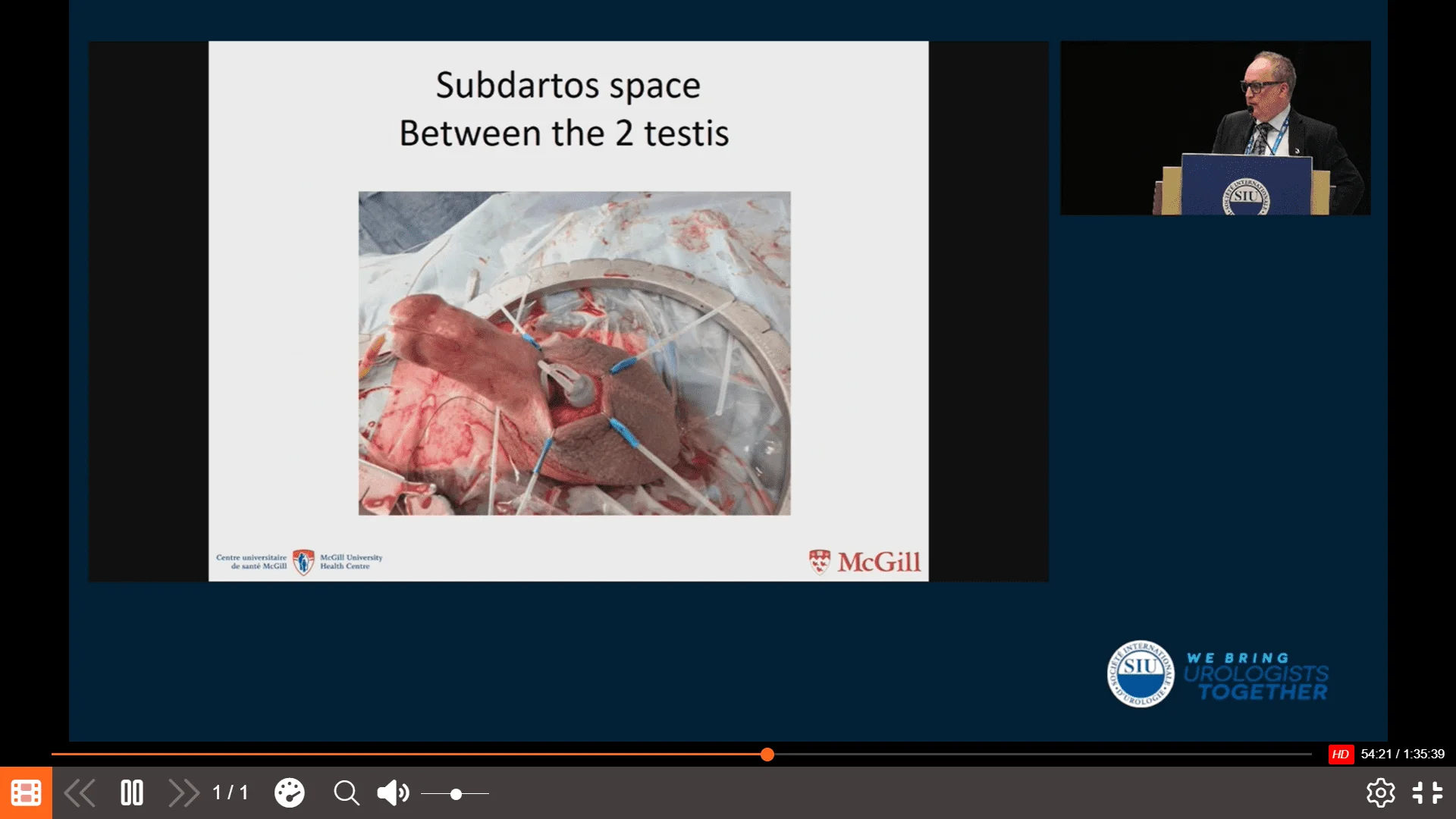 Screenshot (24900).webp