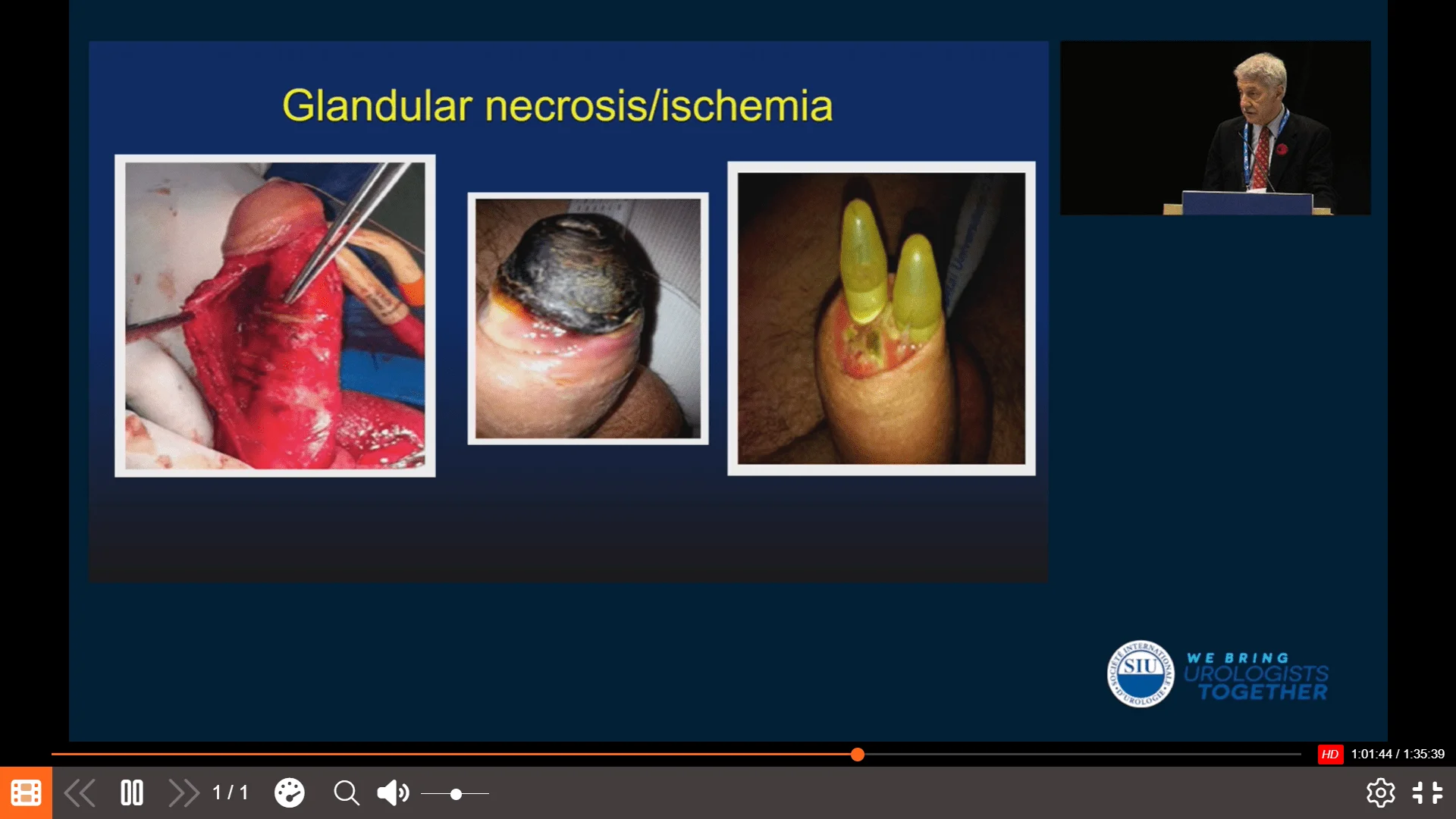 Screenshot (24938).webp