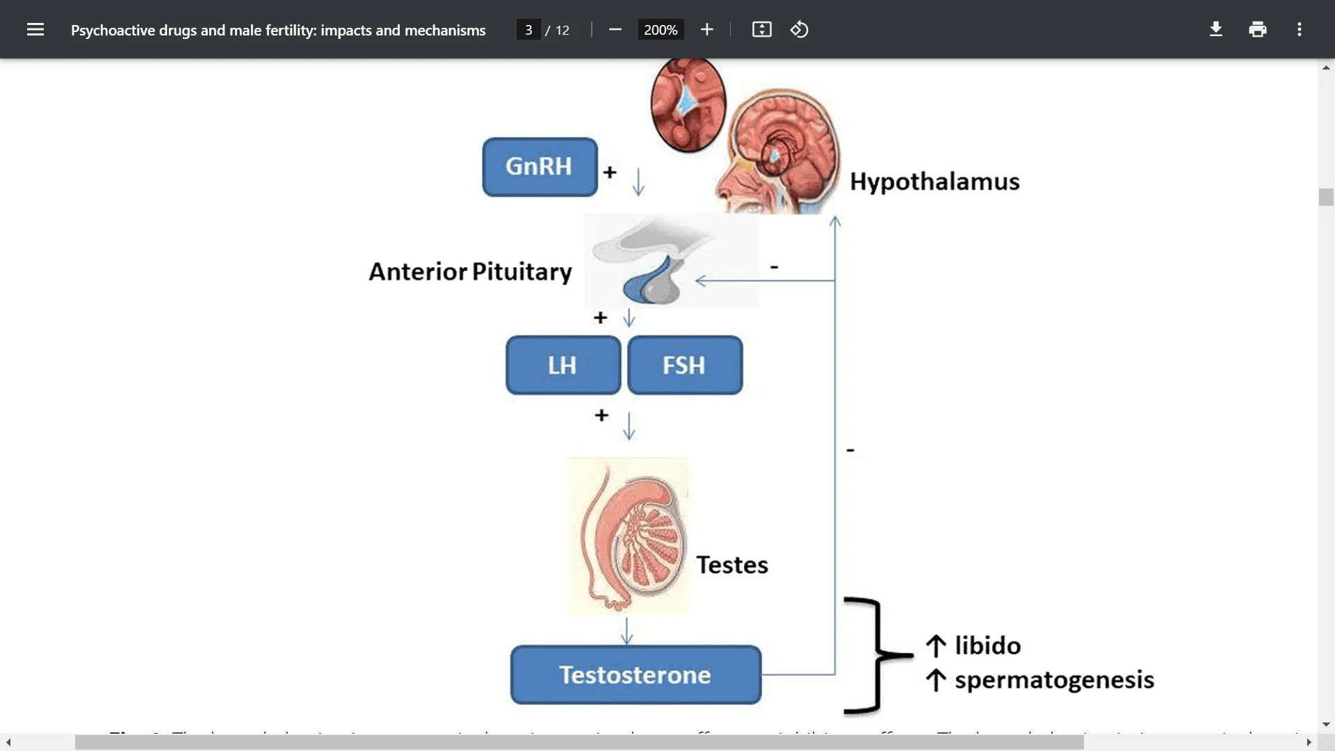 Screenshot (26811).webp
