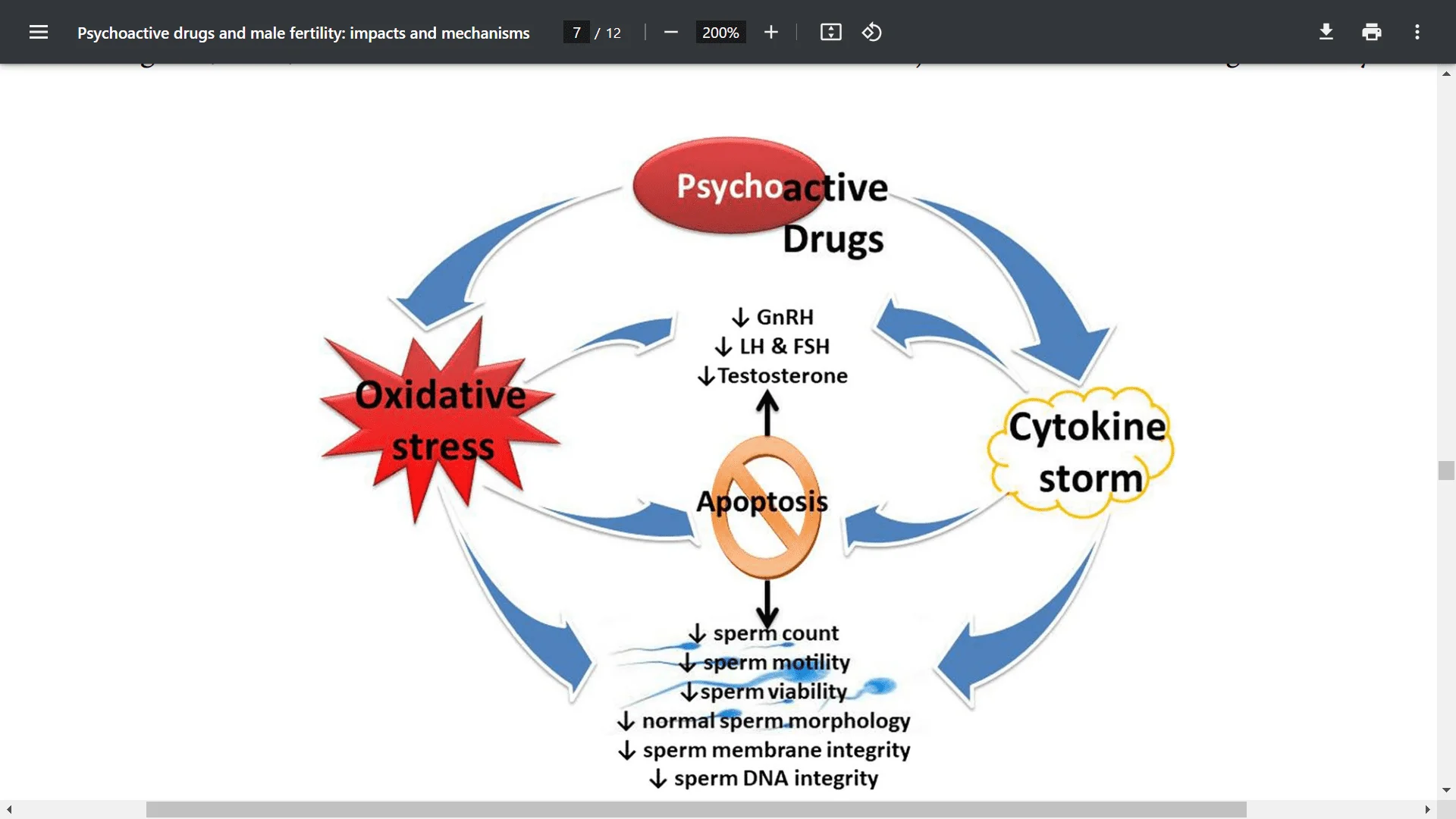 Screenshot (26814).webp