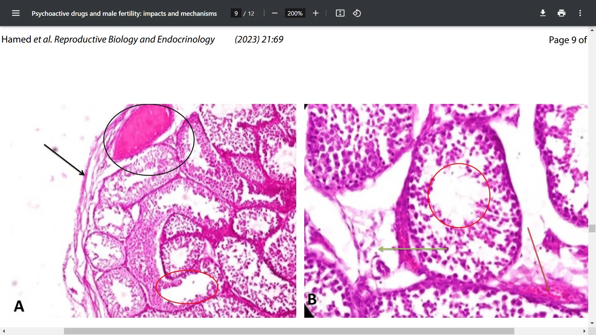 Screenshot (26815).webp