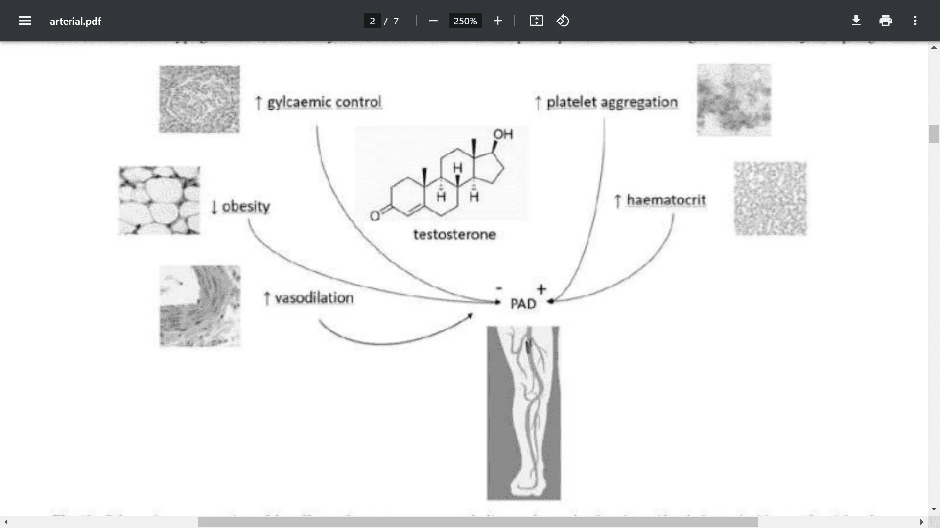 Screenshot (28123).webp