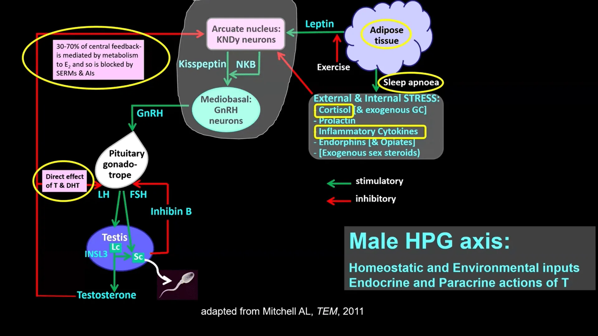 Screenshot (28188).webp