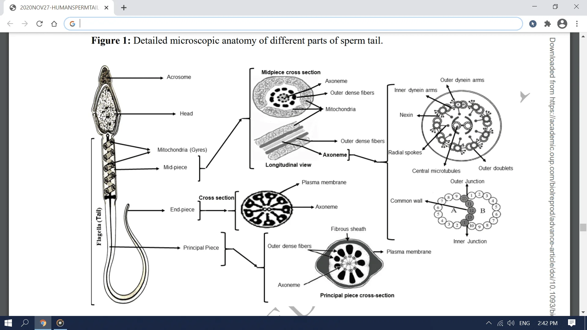 Screenshot (2823).webp