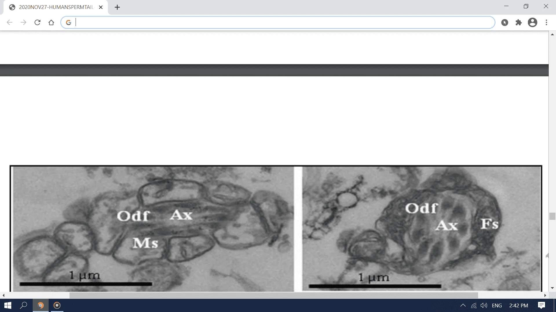 Screenshot (2824).webp