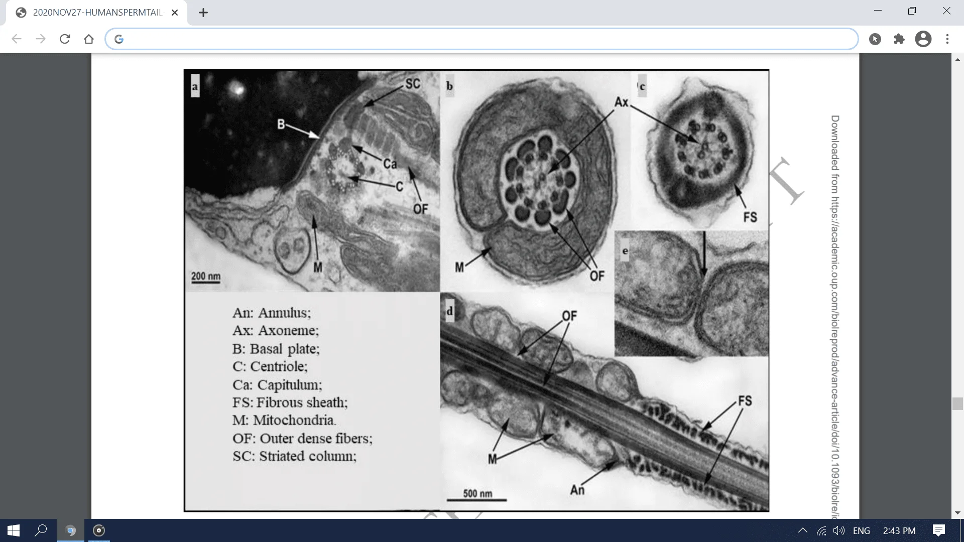 Screenshot (2827).webp