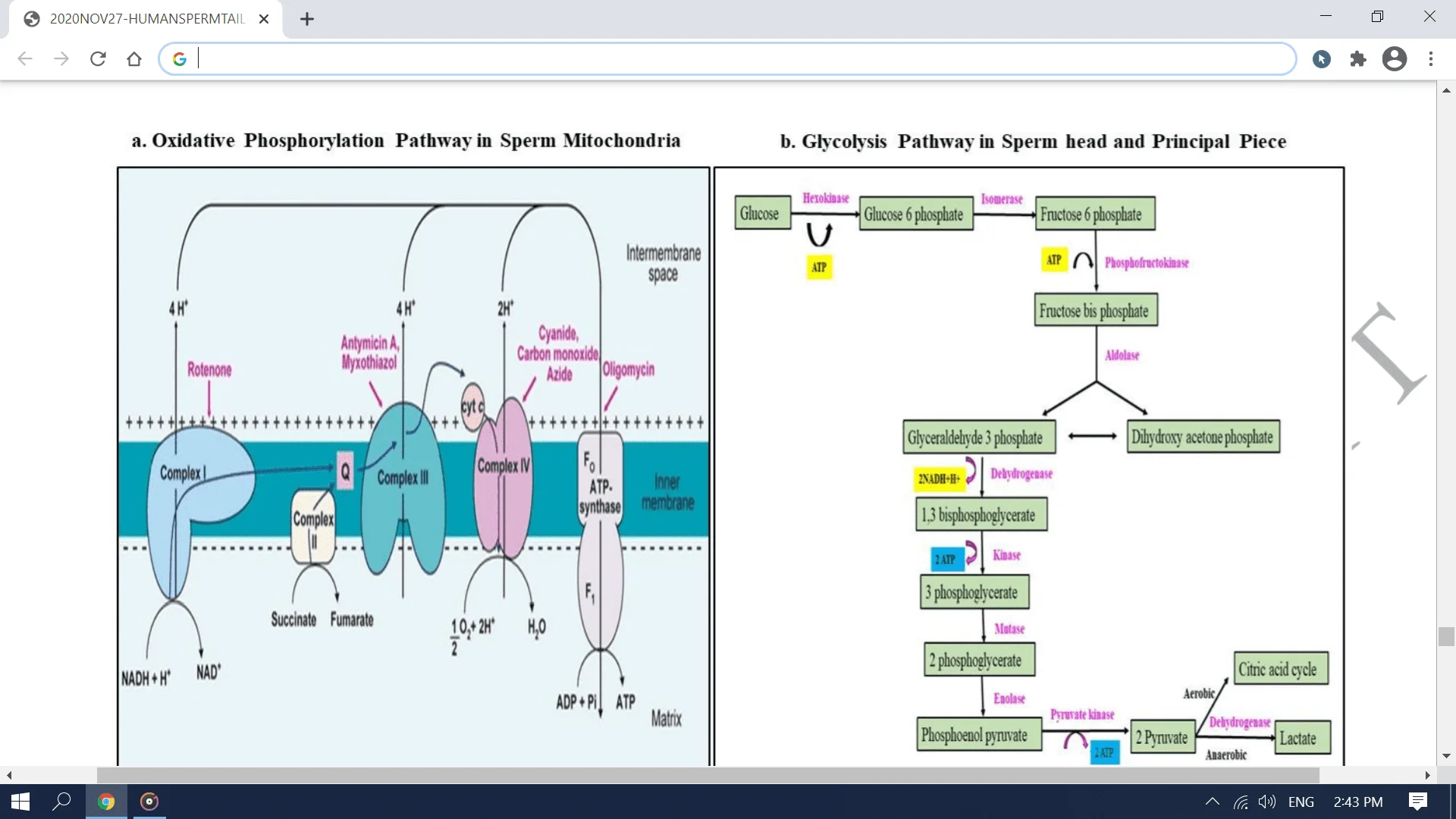 Screenshot (2829).webp