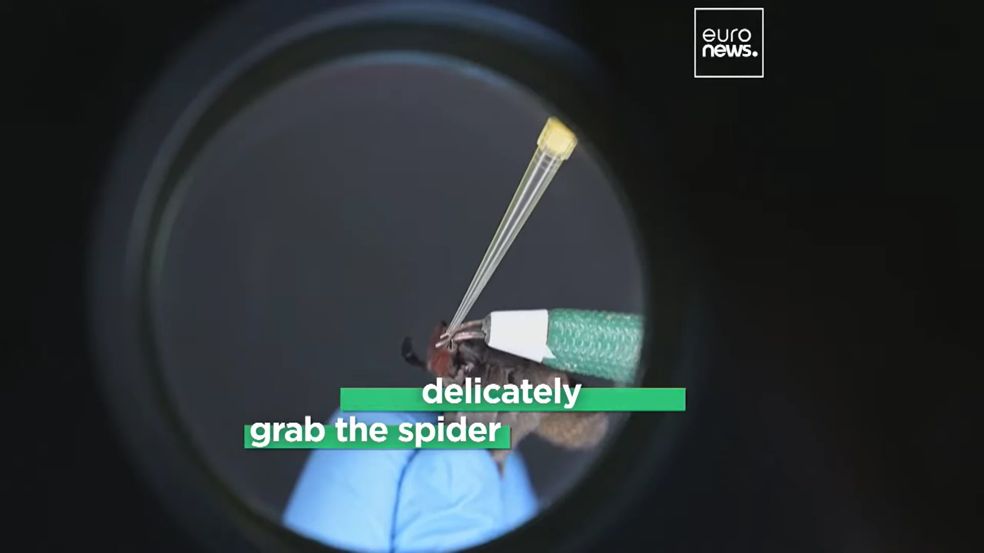 Screenshot (30141).png