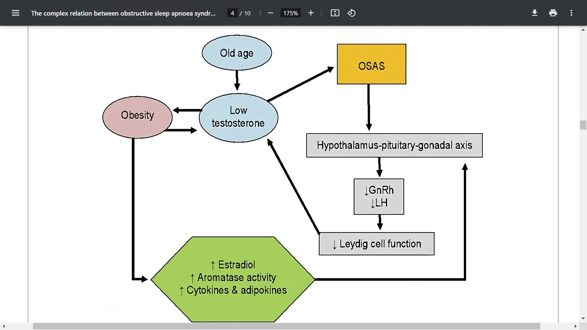 Screenshot (30751).webp