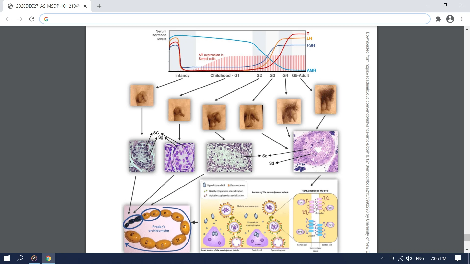 Screenshot (3101).webp