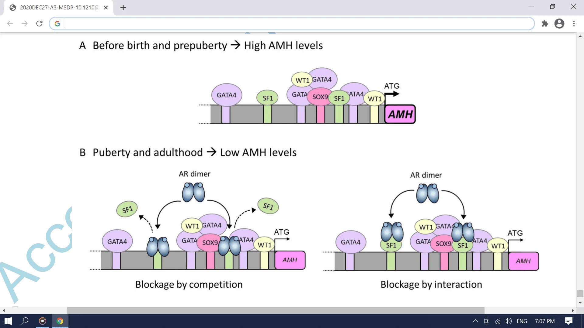 Screenshot (3102).webp