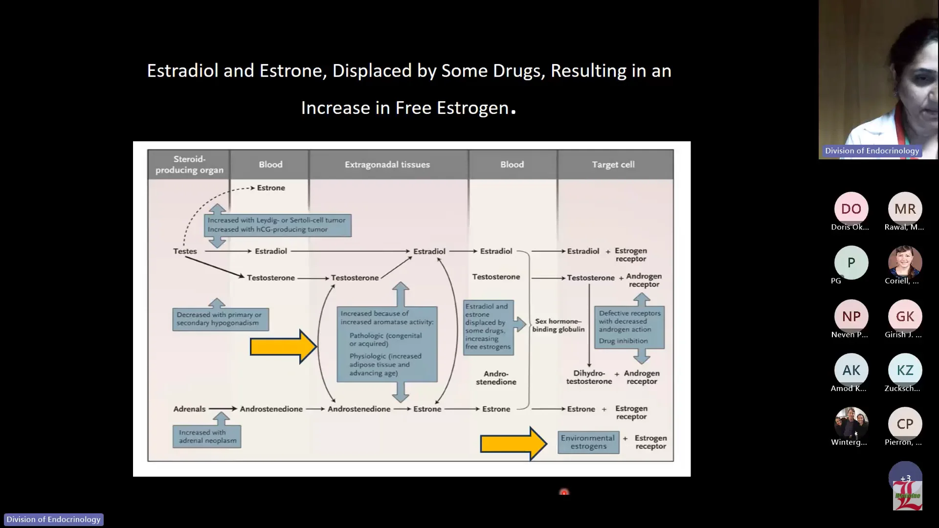 Screenshot (31317).webp