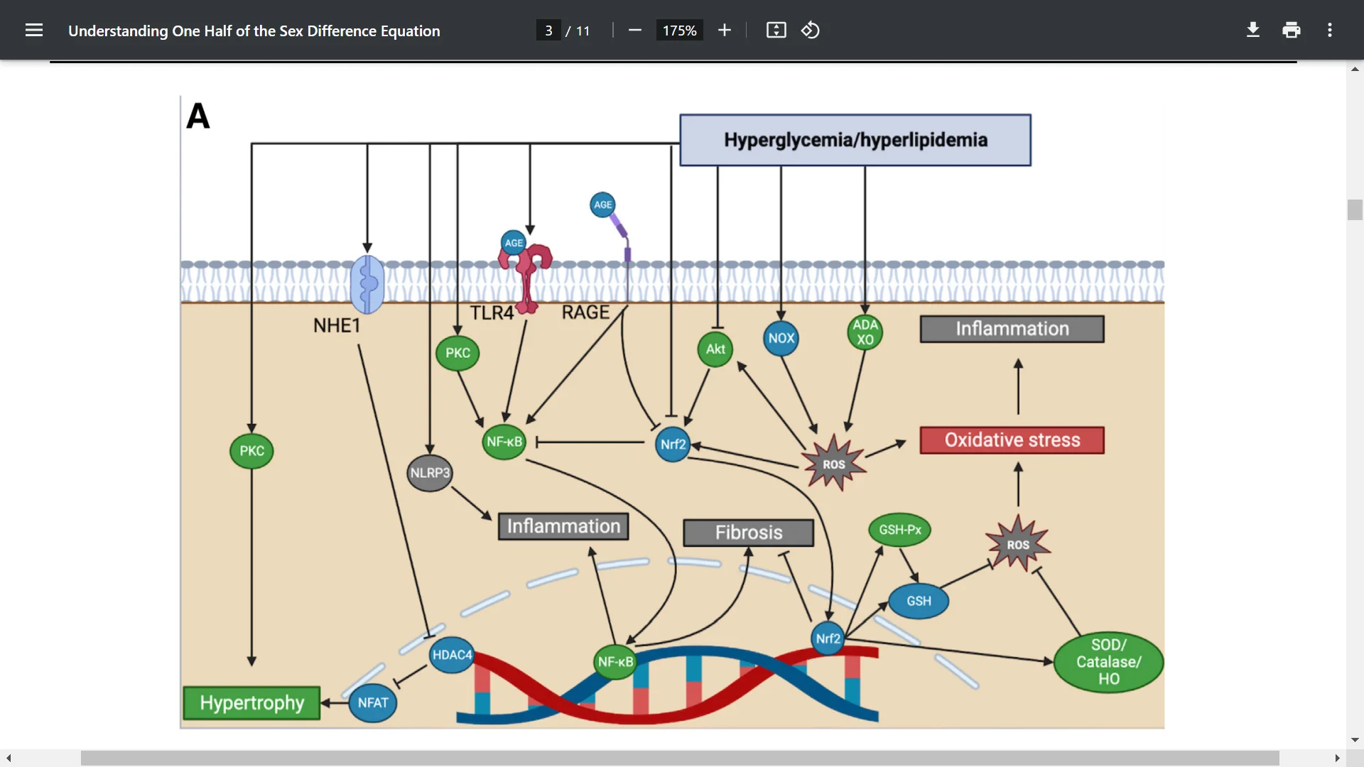 Screenshot (32142).webp