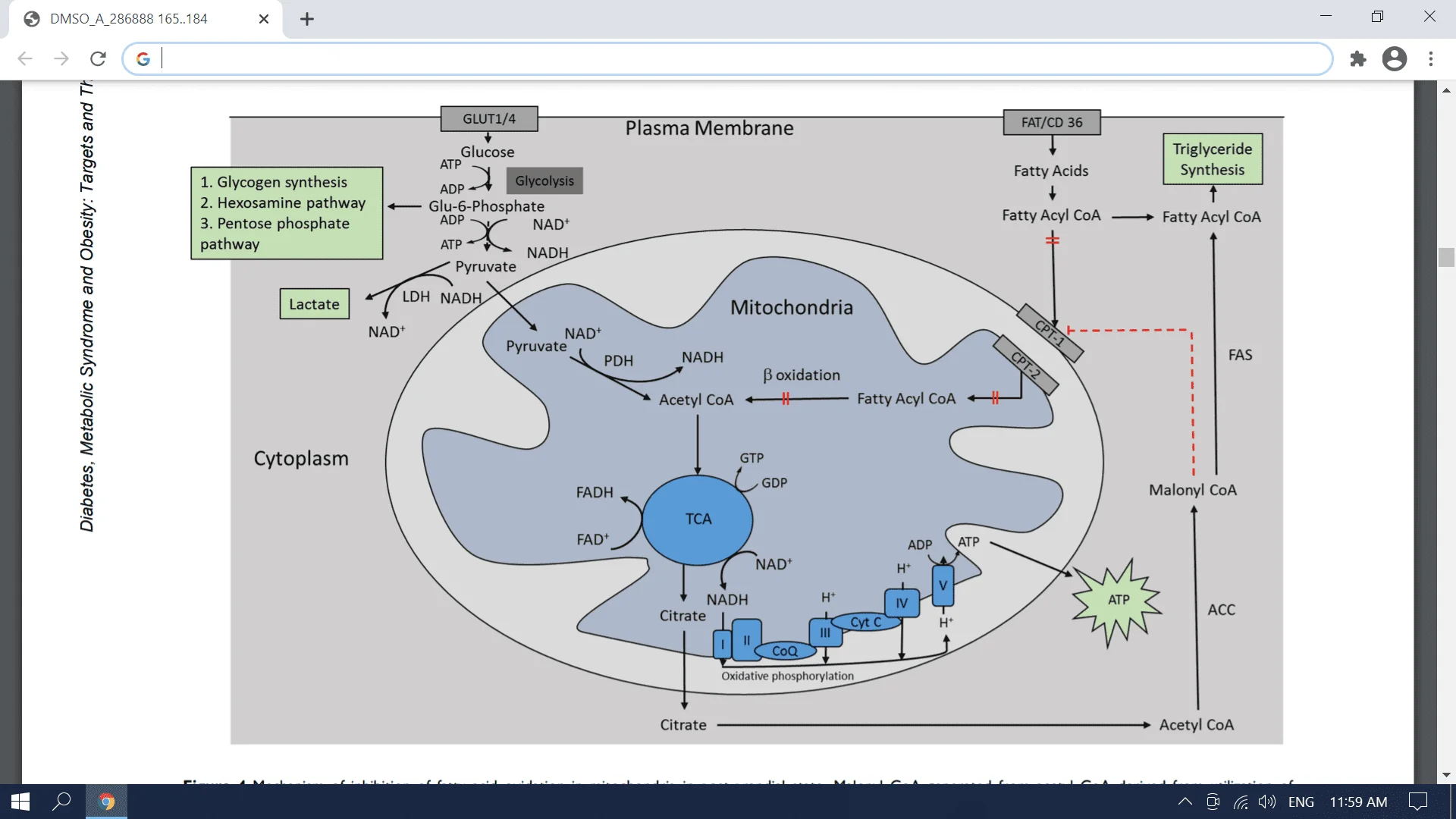 Screenshot (3234).webp