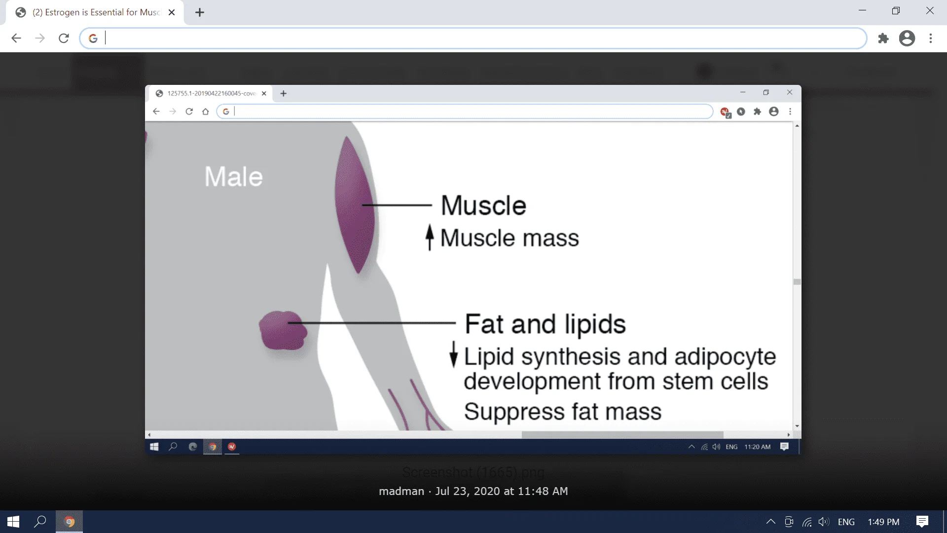 Screenshot (3244).webp