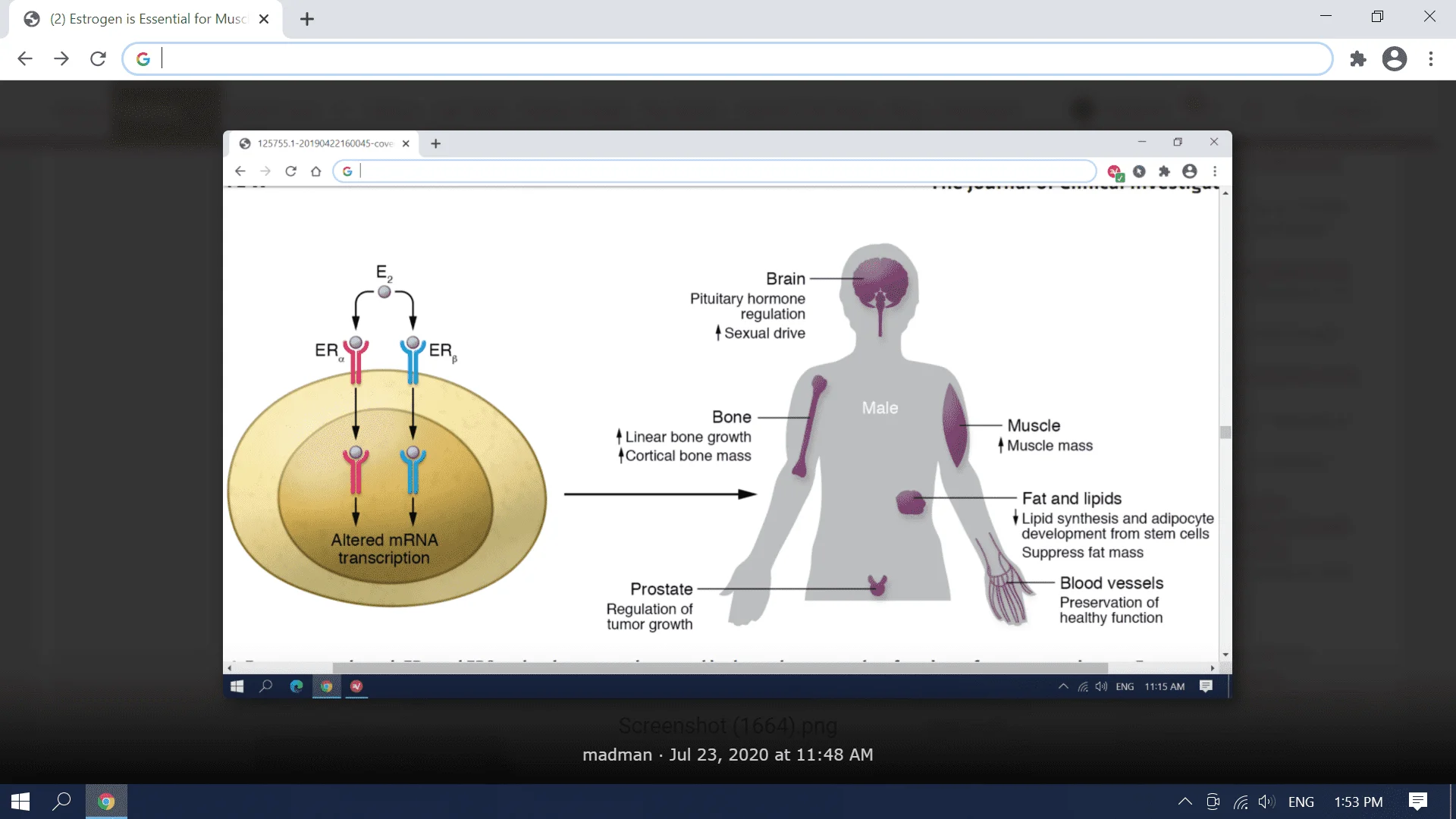 Screenshot (3245).webp