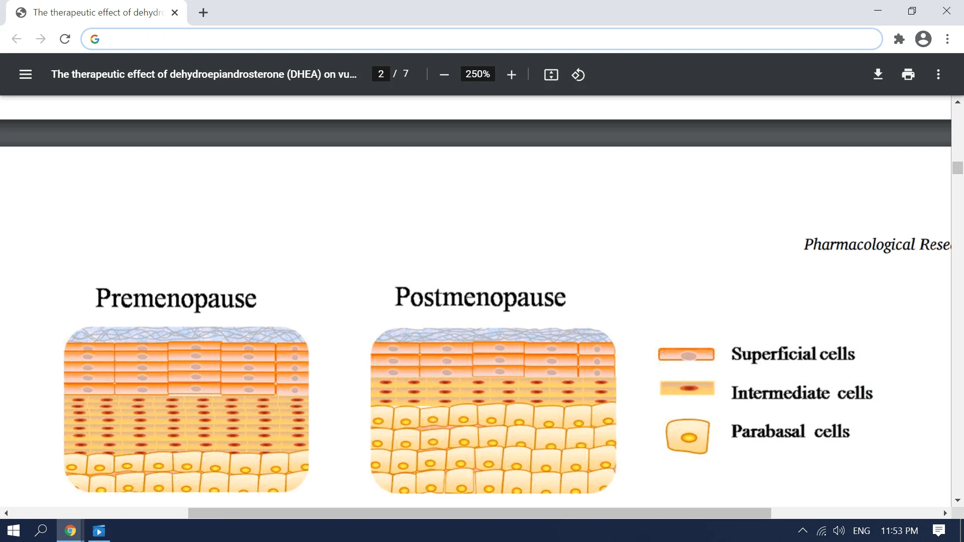 Screenshot (3656).webp
