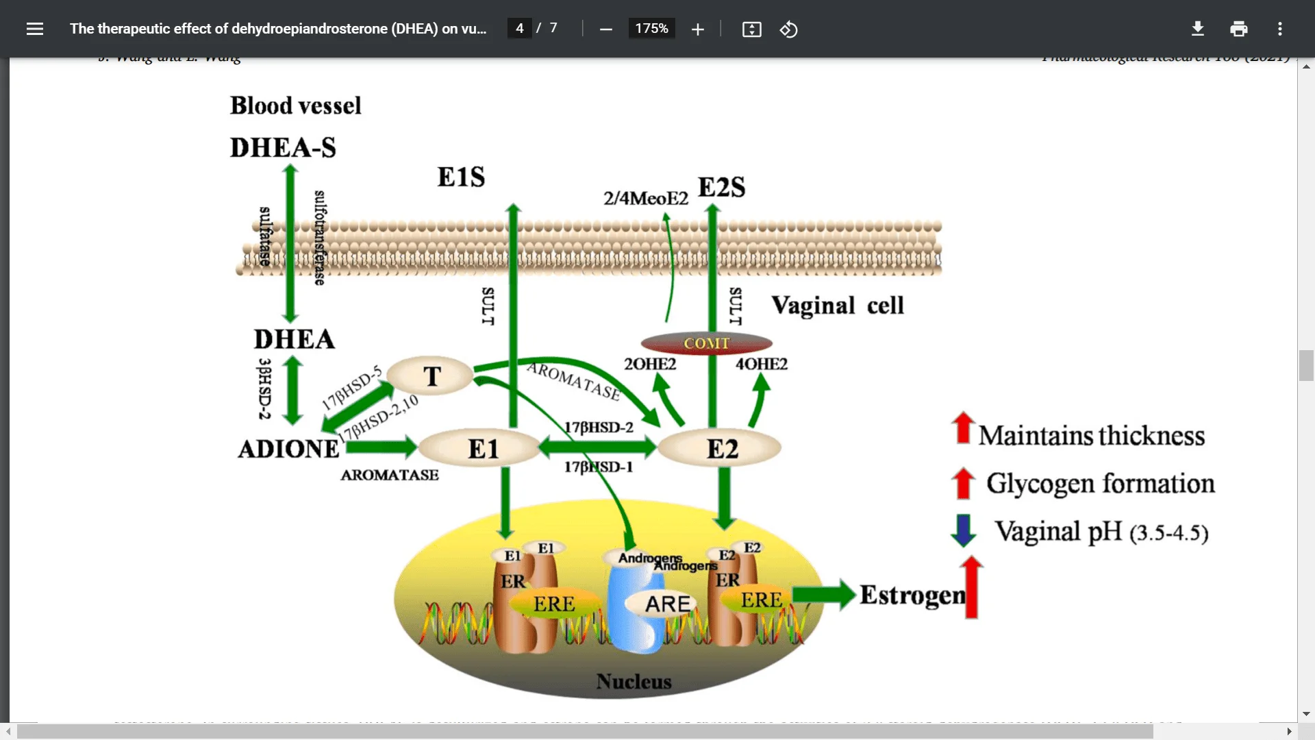 Screenshot (3658).webp