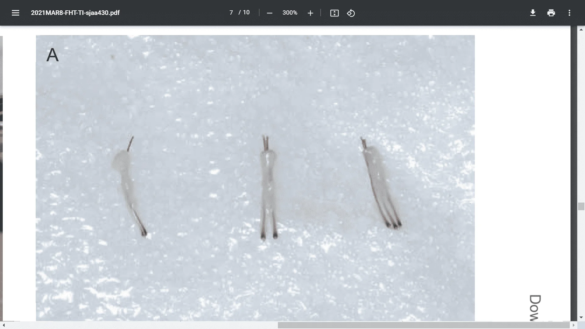 Screenshot (3773).webp