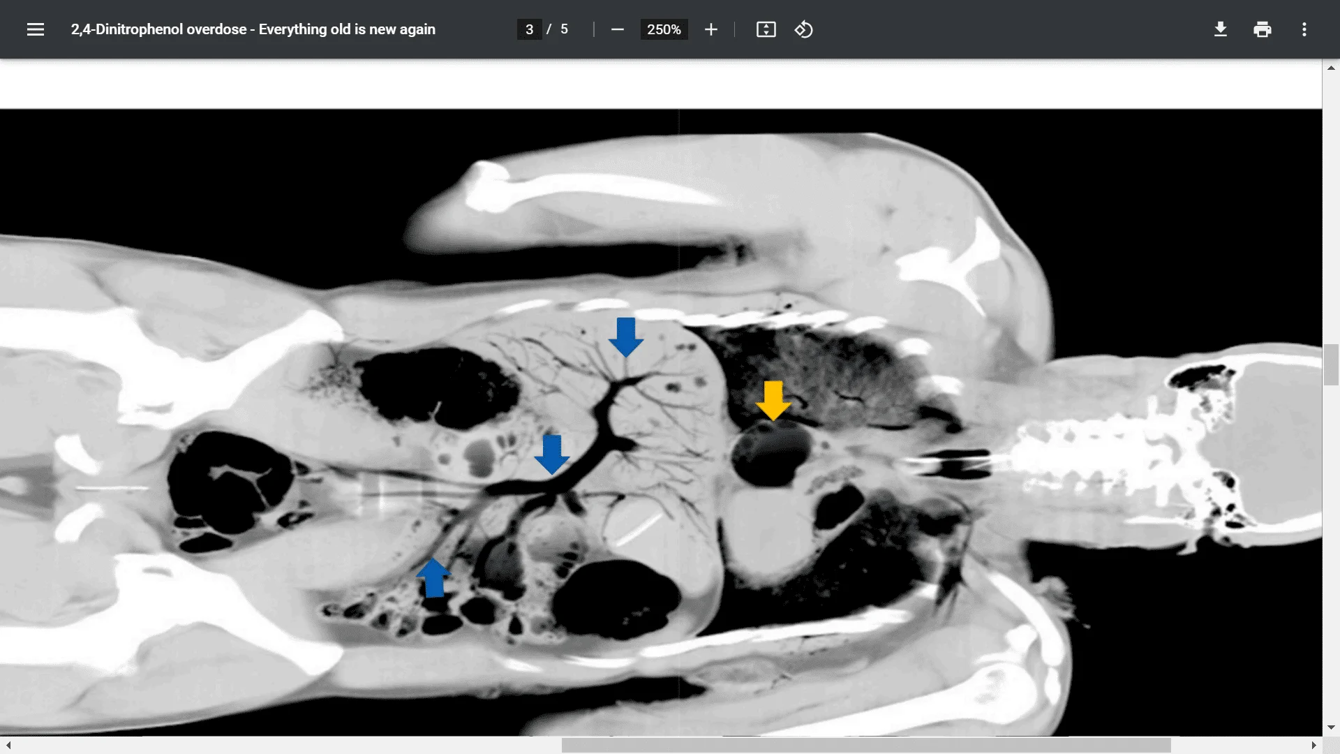 Screenshot (3785).webp