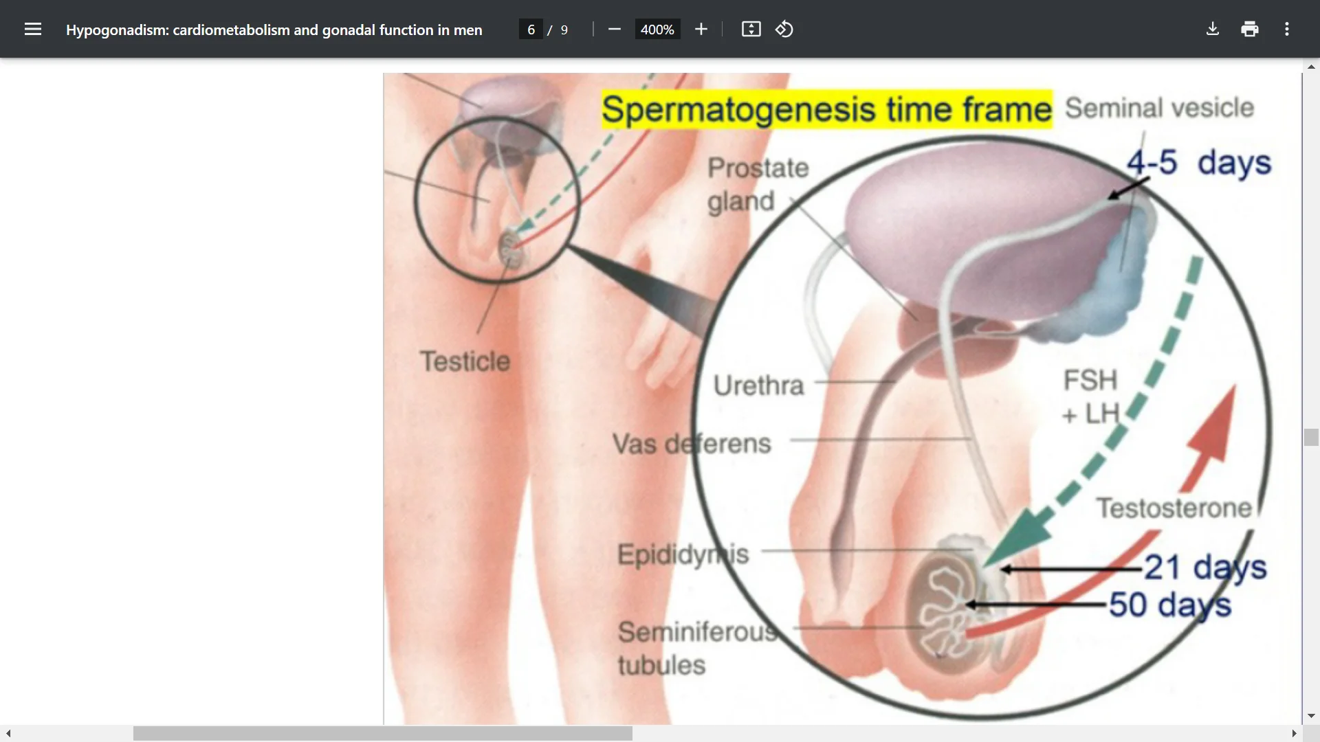 Screenshot (39684).webp